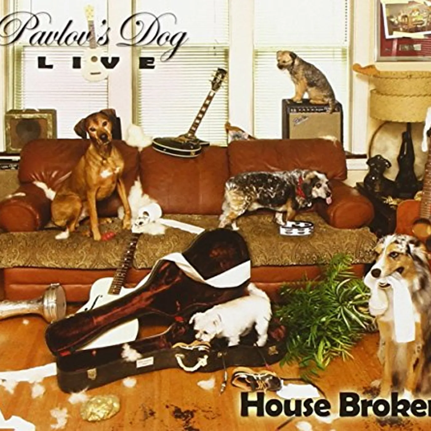 Pavlov's Dog HOUSE BROKEN - LIVE 2015 CD