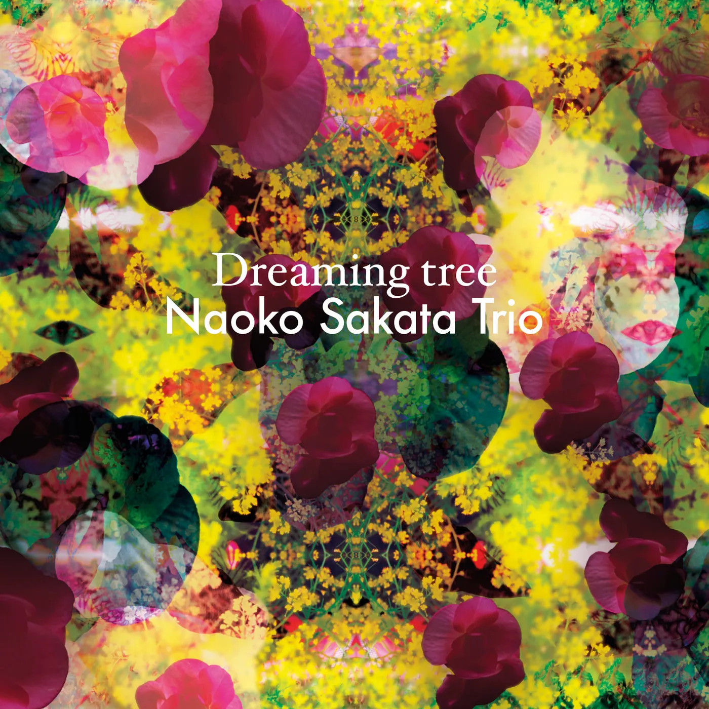 Various Artists  DREAMING TREE CD