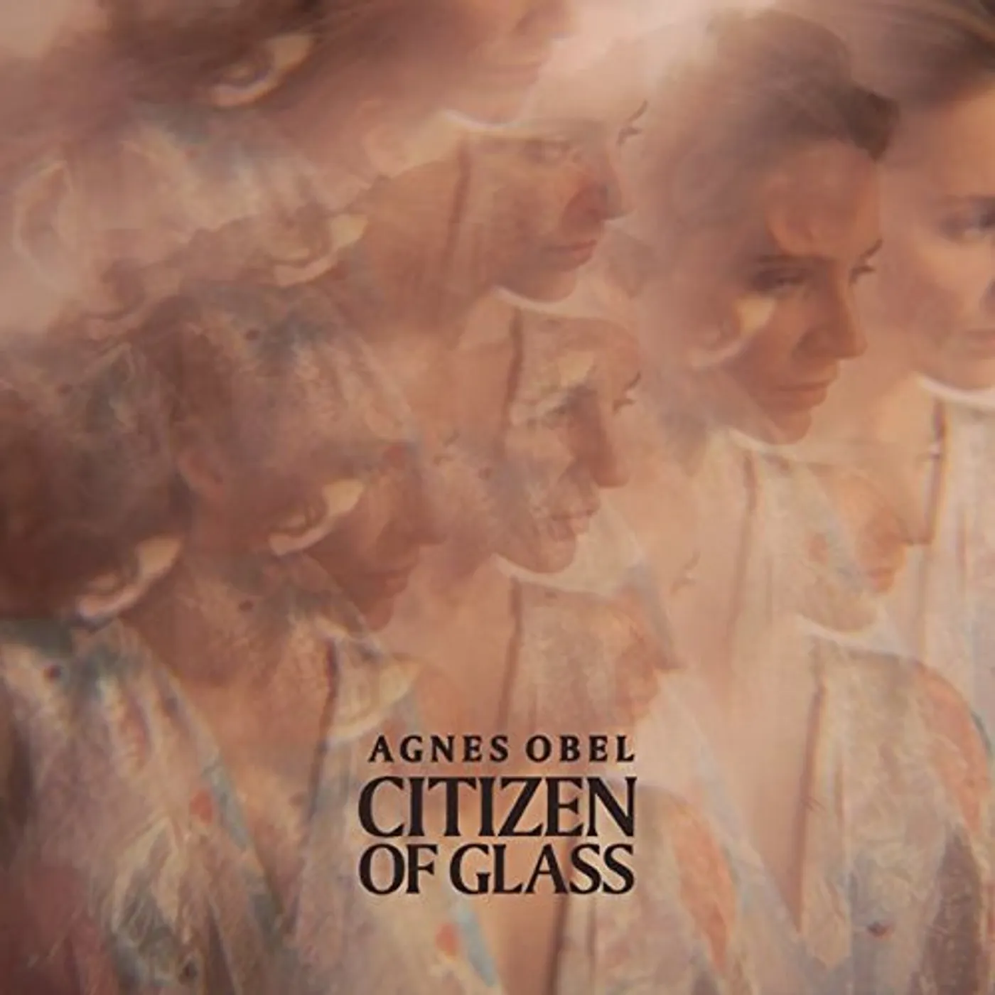 Agnes Obel Citizen Of Glass Vinyl Record