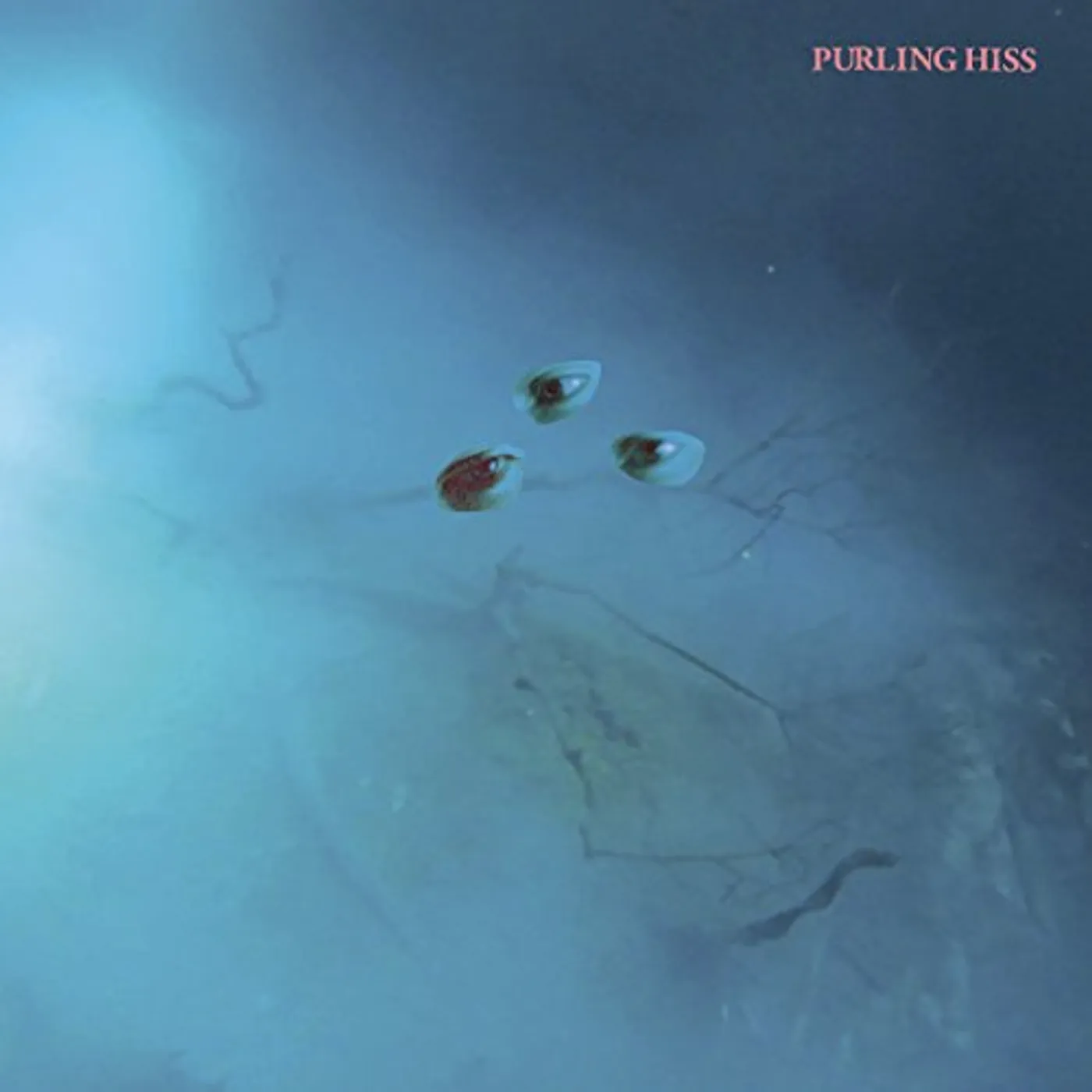 Purling Hiss HIGH BIAS CD