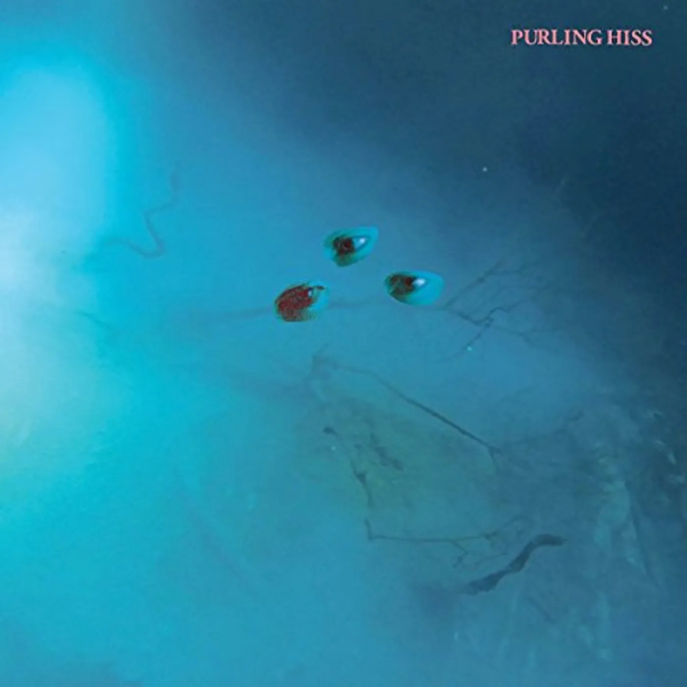 Purling Hiss High Bias Vinyl Record