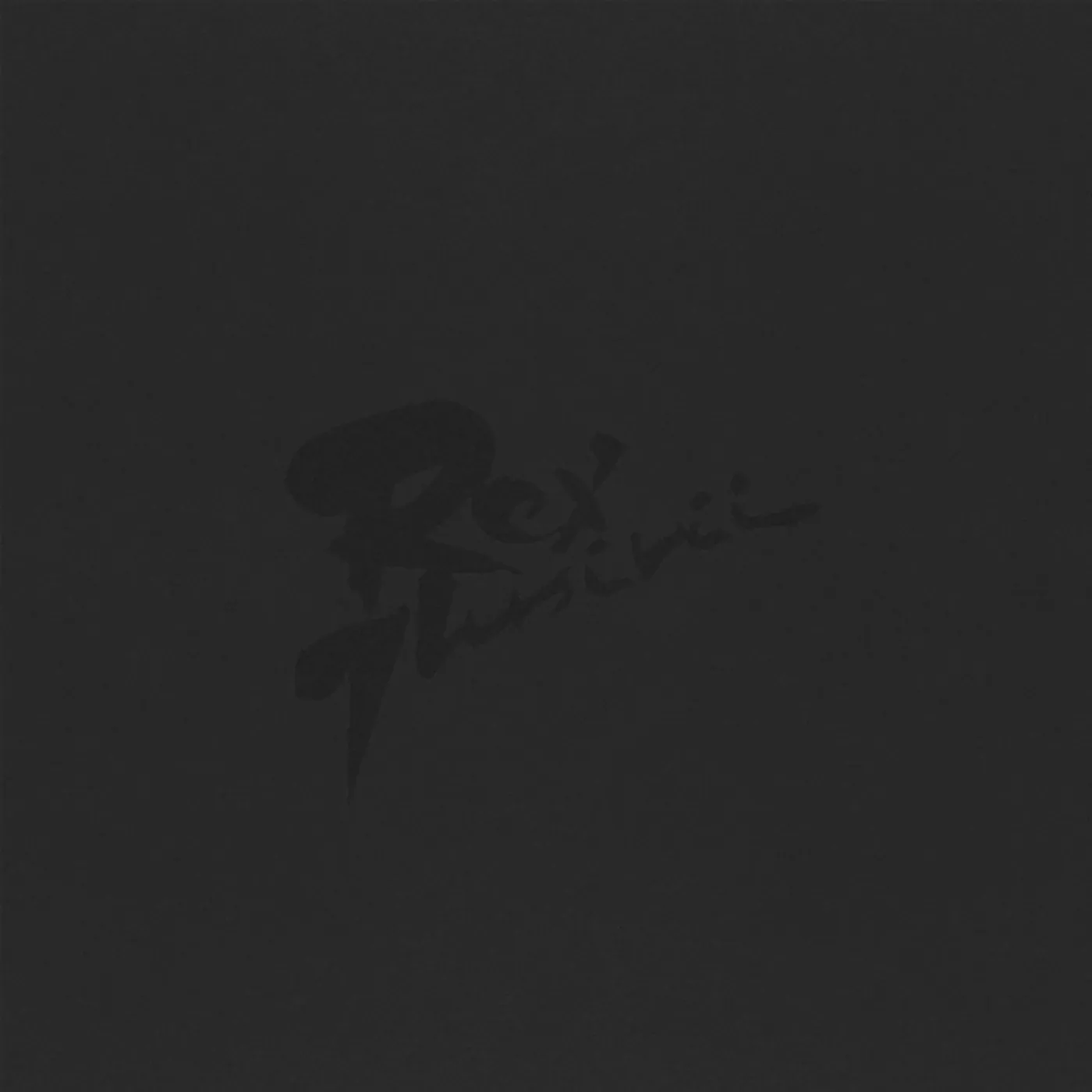 Rex Ilusivii Koncert SNP 1983 Vinyl Record