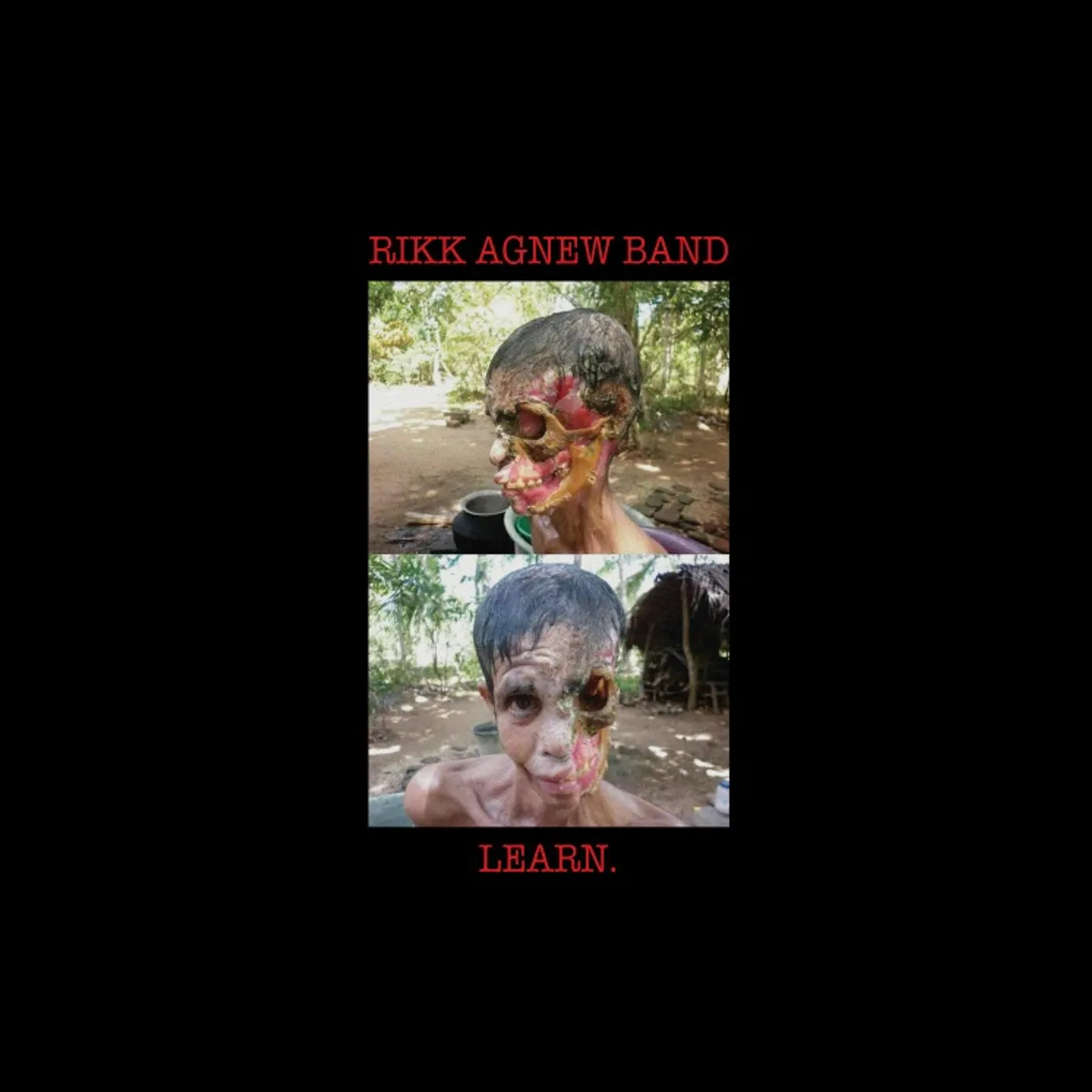Rikk Agnew LEARN Vinyl Record