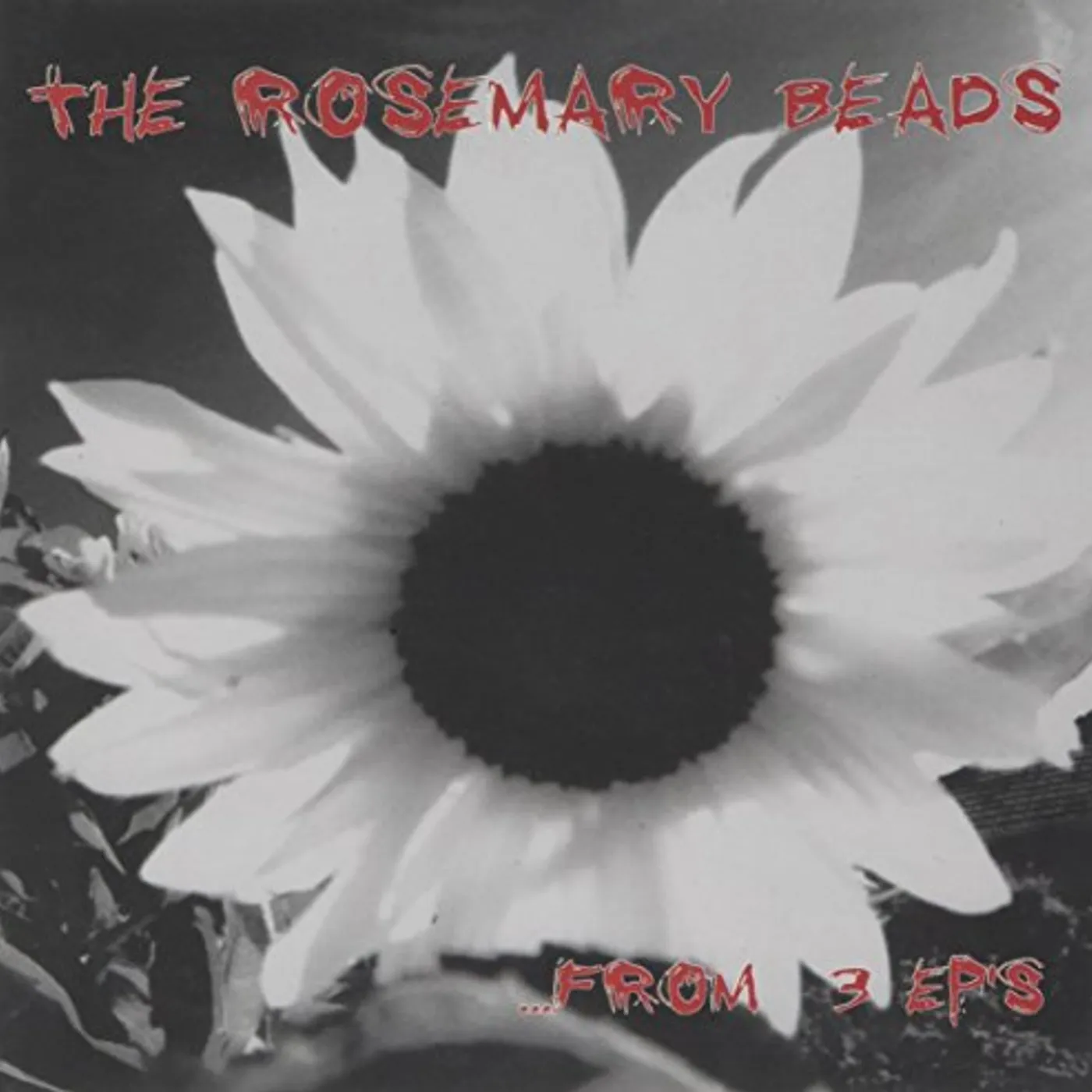 The Rosemary Beads FROM 3 EPS CD