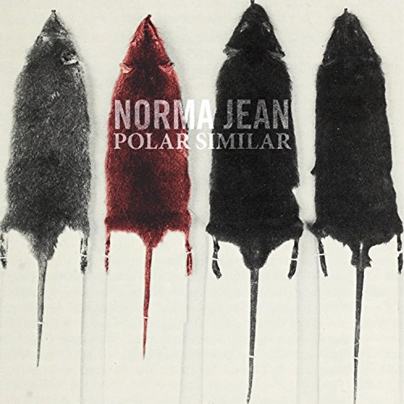 Norma Jean Polar Similar Vinyl Record
