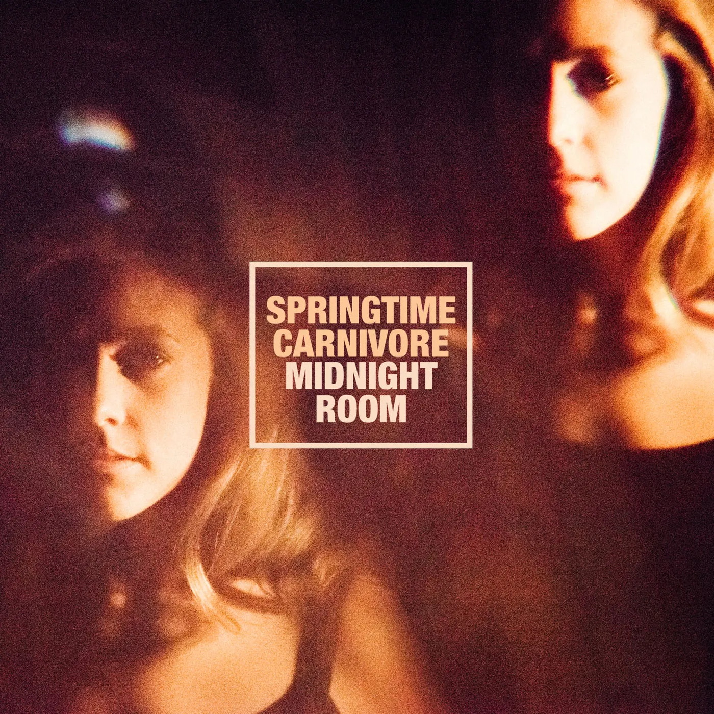 Springtime Carnivore Midnight Room Vinyl Record