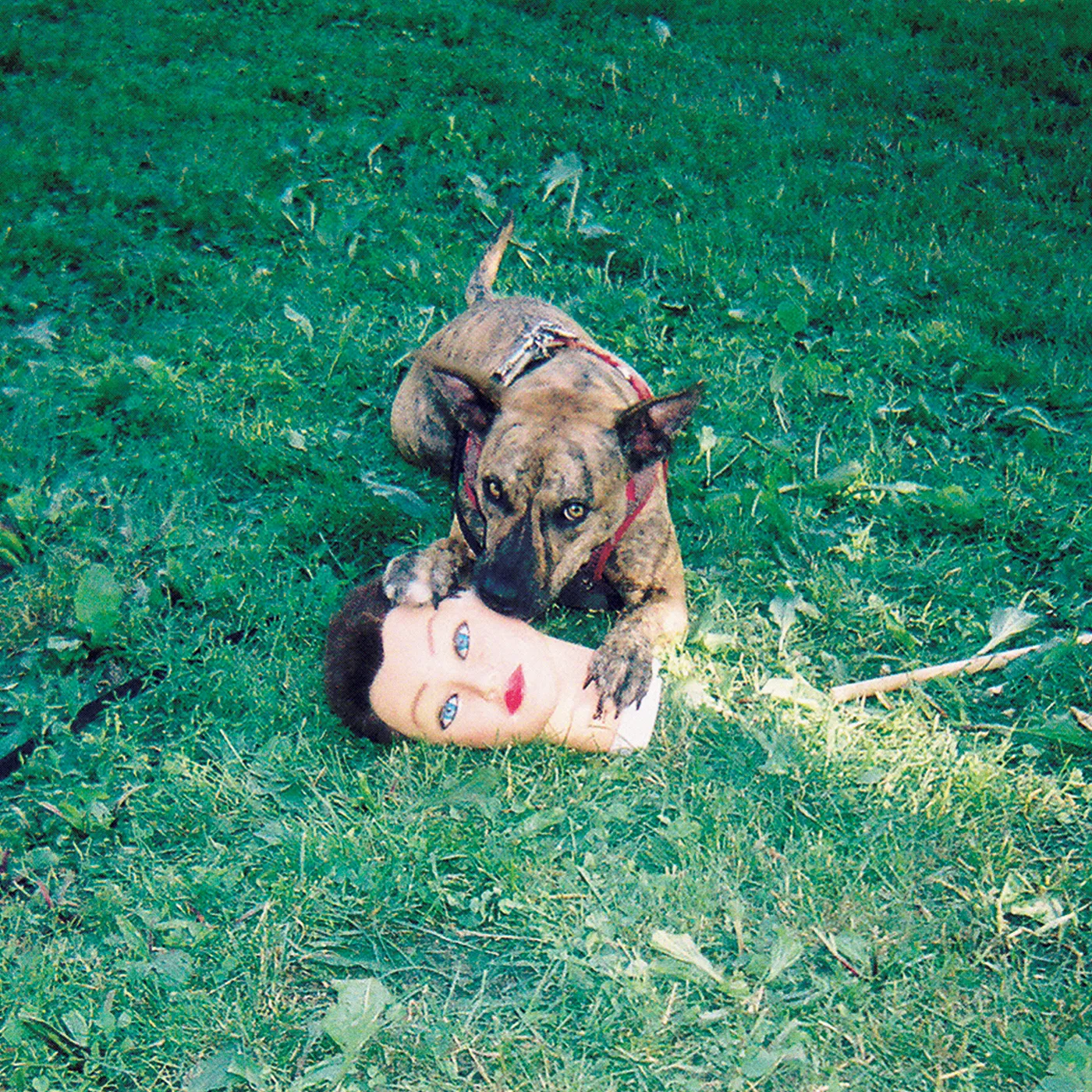 Joyce Manor Cody Vinyl Record