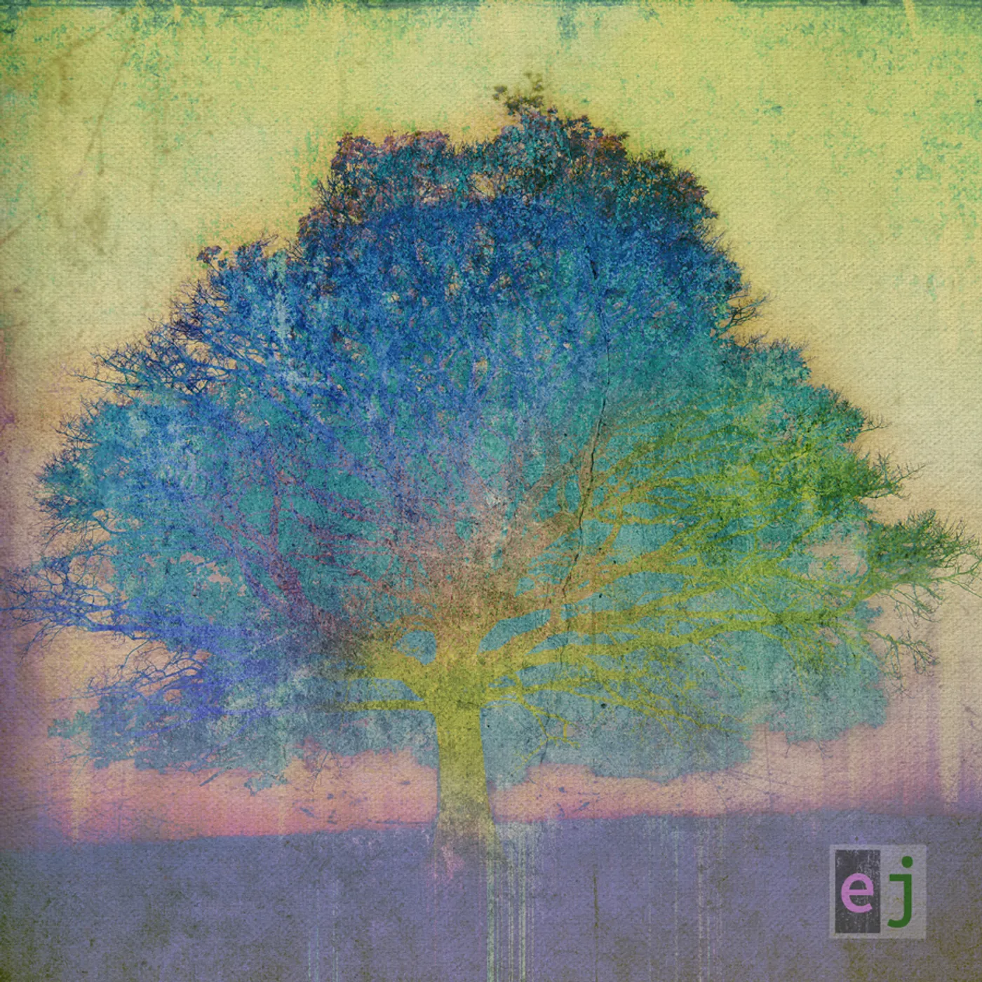 Eric Johnson EJ CD