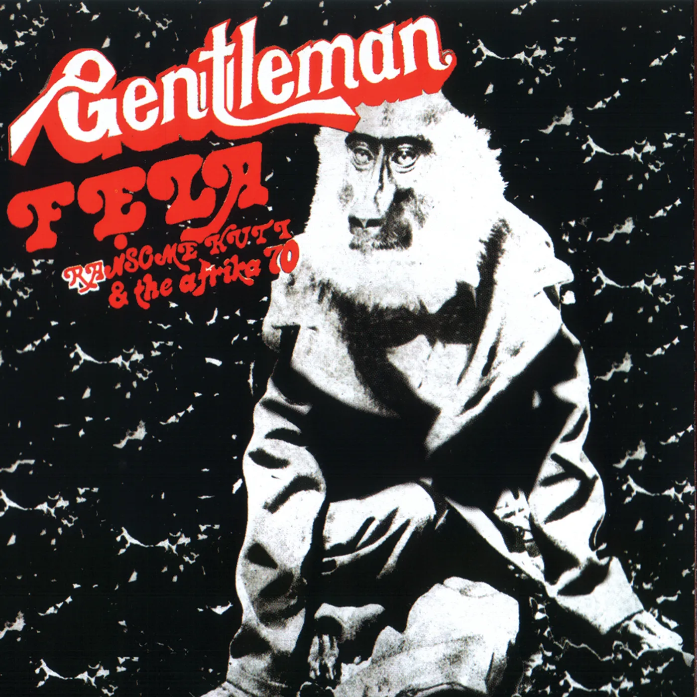 Fela Kuti Gentleman Vinyl Record