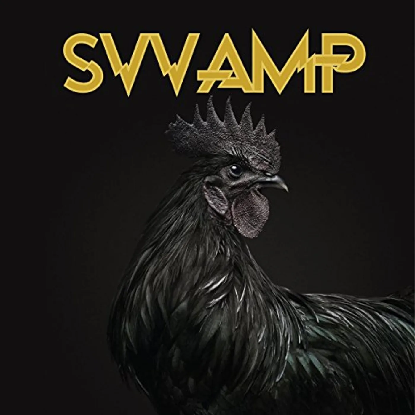 Svvamp Vinyl Record