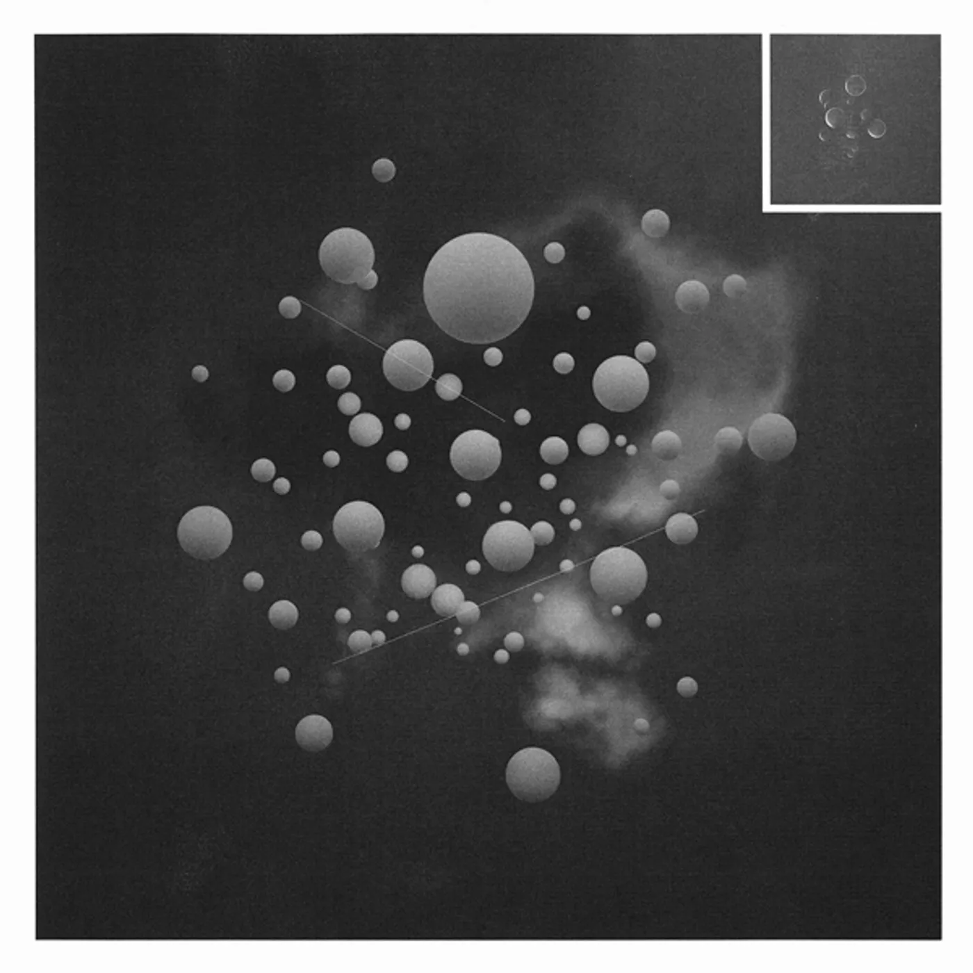 Jung An Tagen Das Fest Der Reichen Vinyl Record
