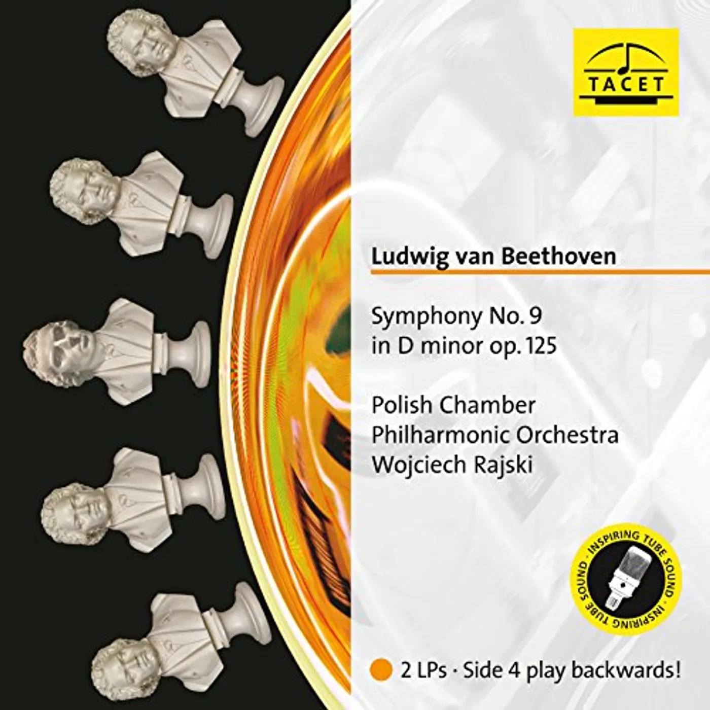 BEETHOVEN / POLISH CHAMBER PHILHARMONIC BEETHOVEN: SYMPHONY 9 IN D MINOR, OP 125 Vinyl Record