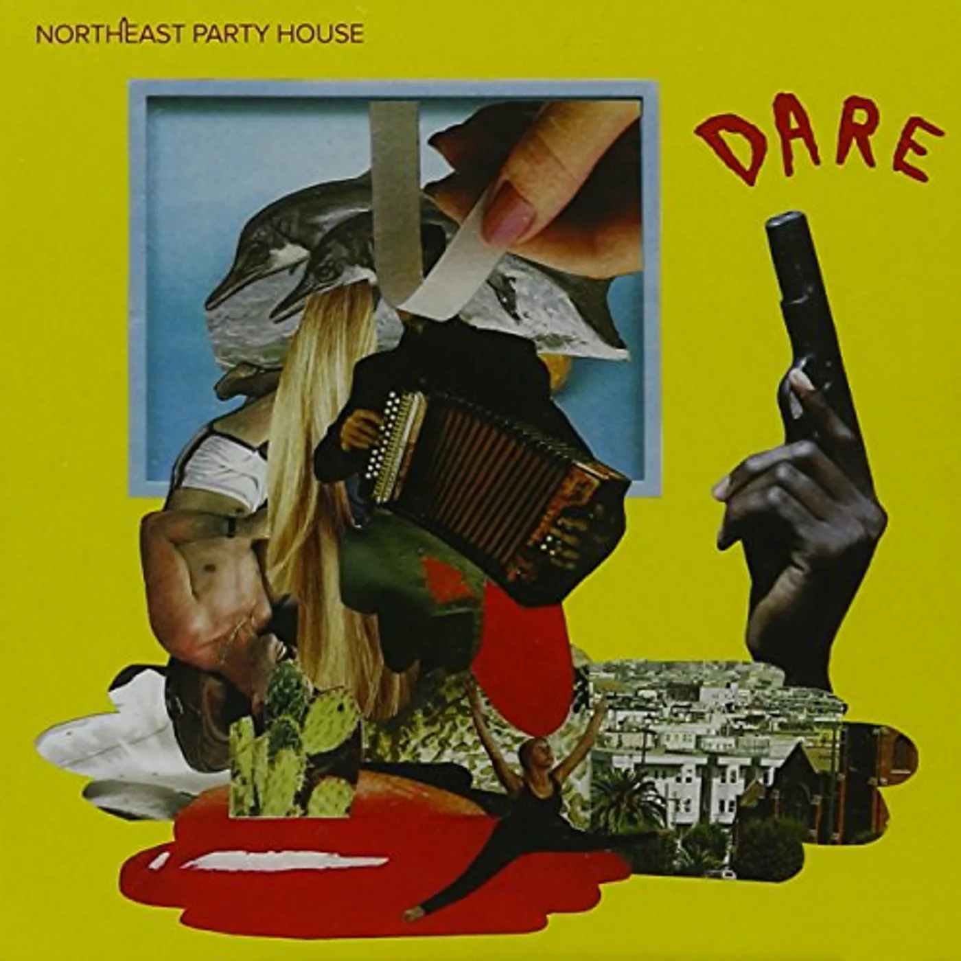 Northeast Party House DARE CD