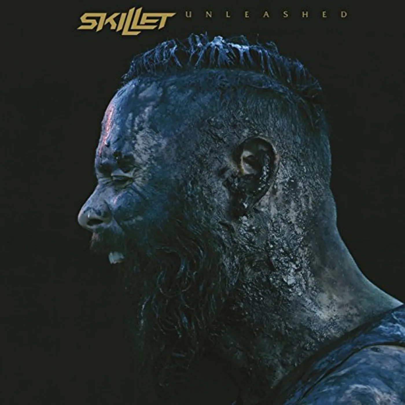 Skillet Unleashed Vinyl Record