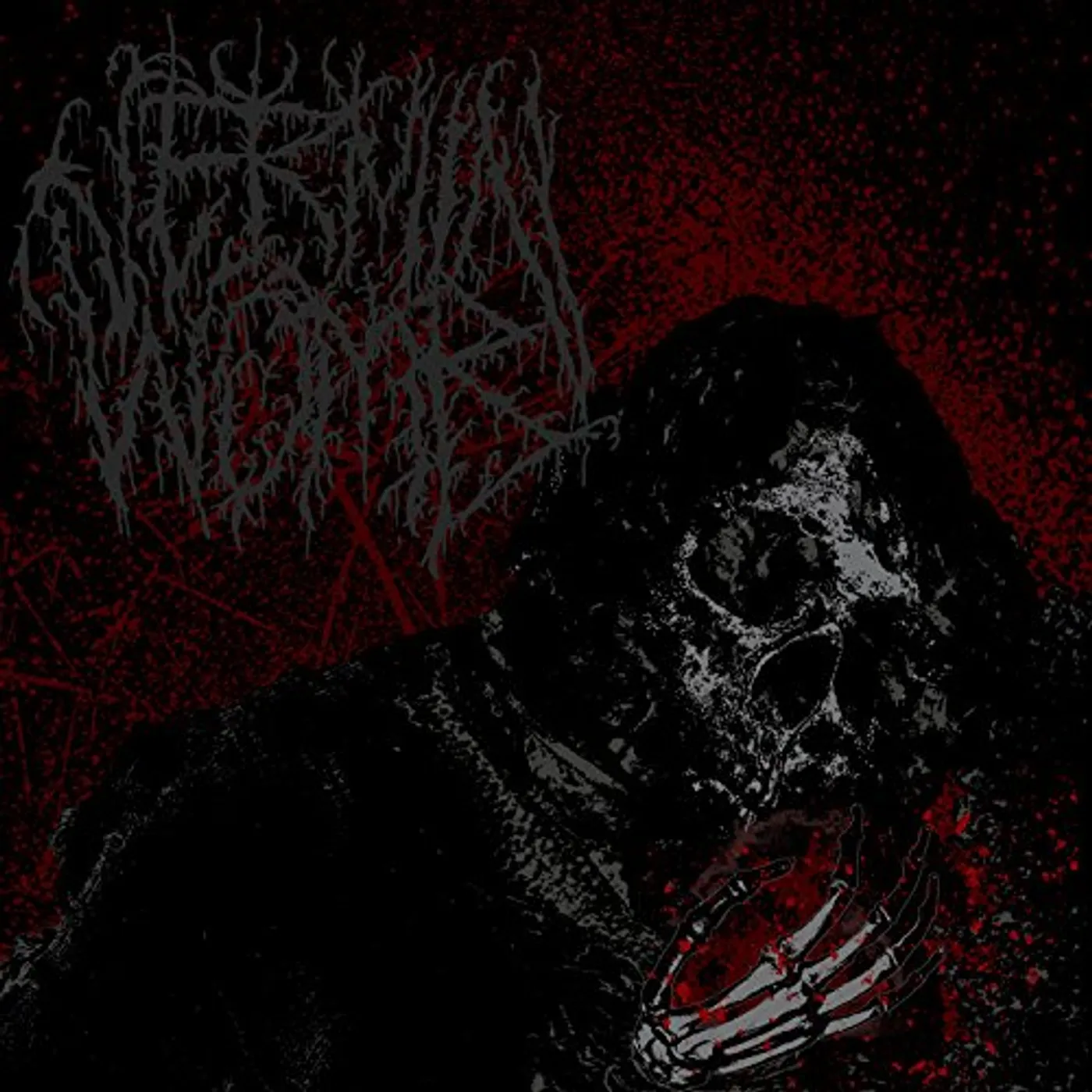 Vermin Womb Decline Vinyl Record