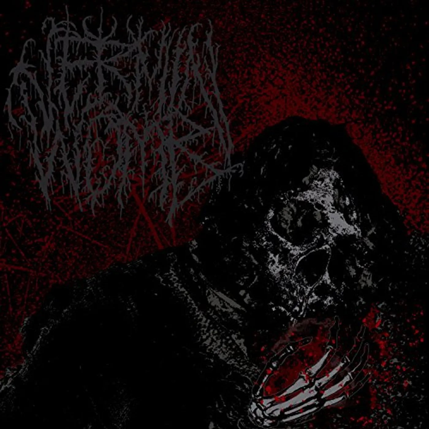 Vermin Womb DECLINE CD