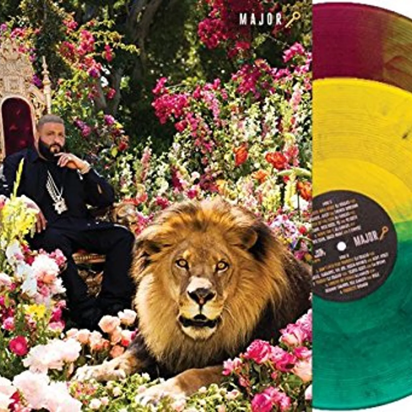 DJ Khaled Grateful Rihanna Drake LPレコード DJ Khaled GRATEFUL Vinyl Record