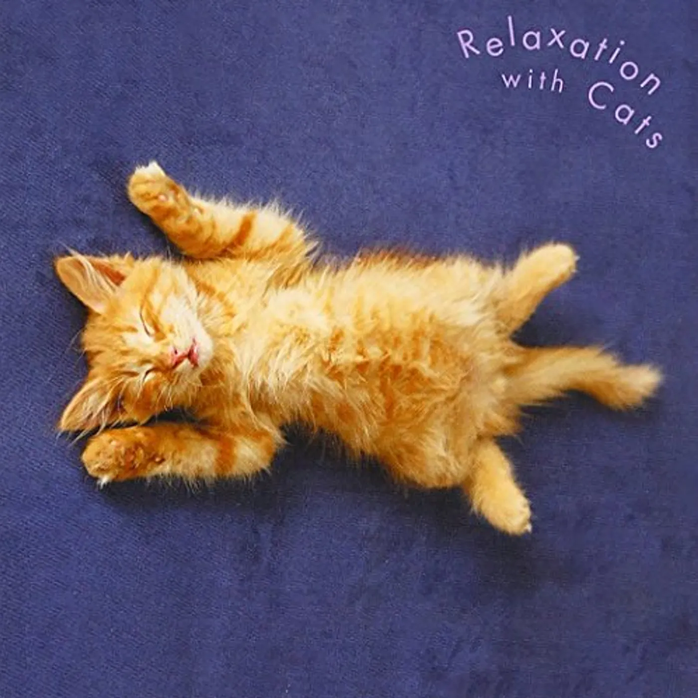 Classic RELAXATION WITH CATS CD