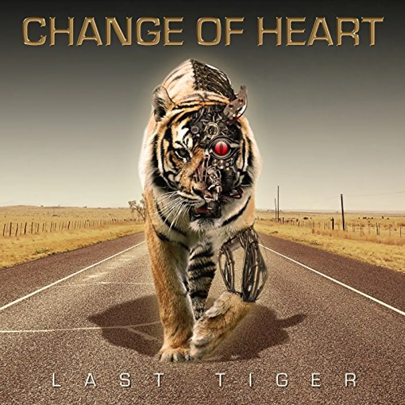 Change Of Heart LAST TIGER CD