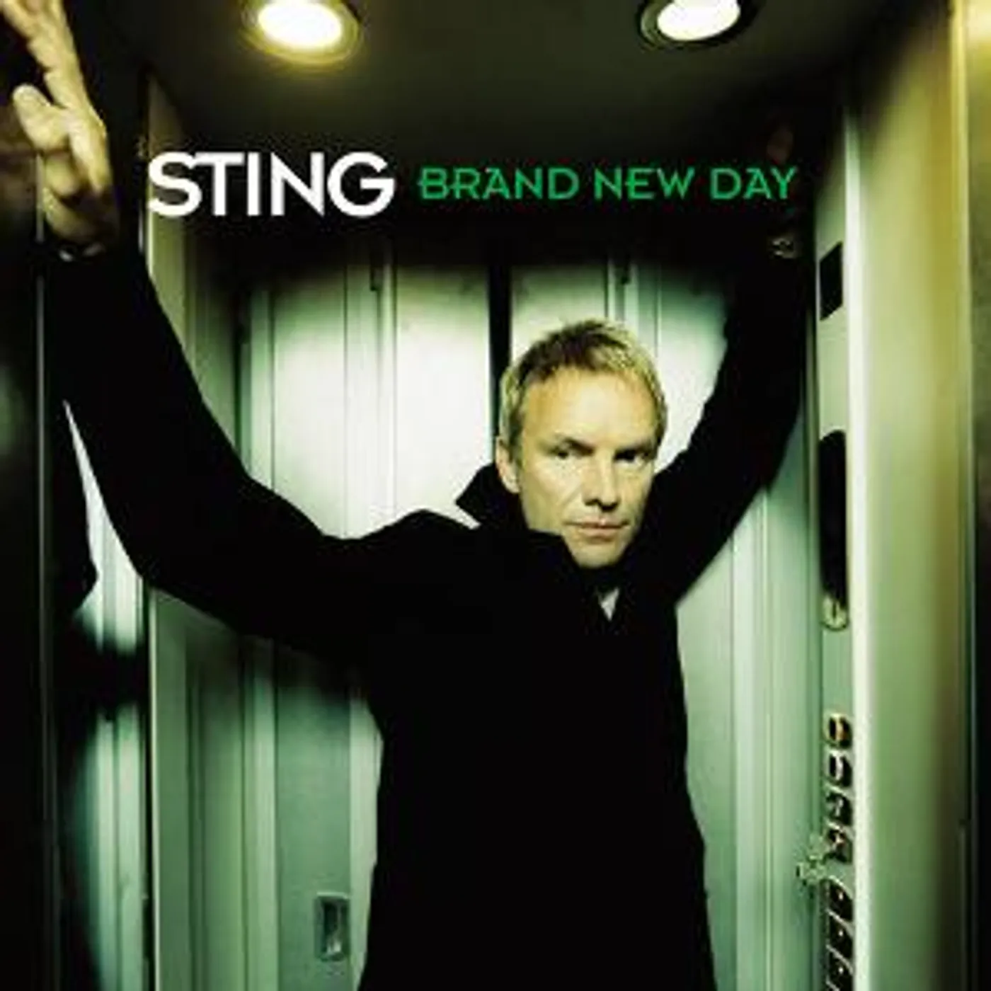 Sting Brand New Day (2 LP) Vinyl Record