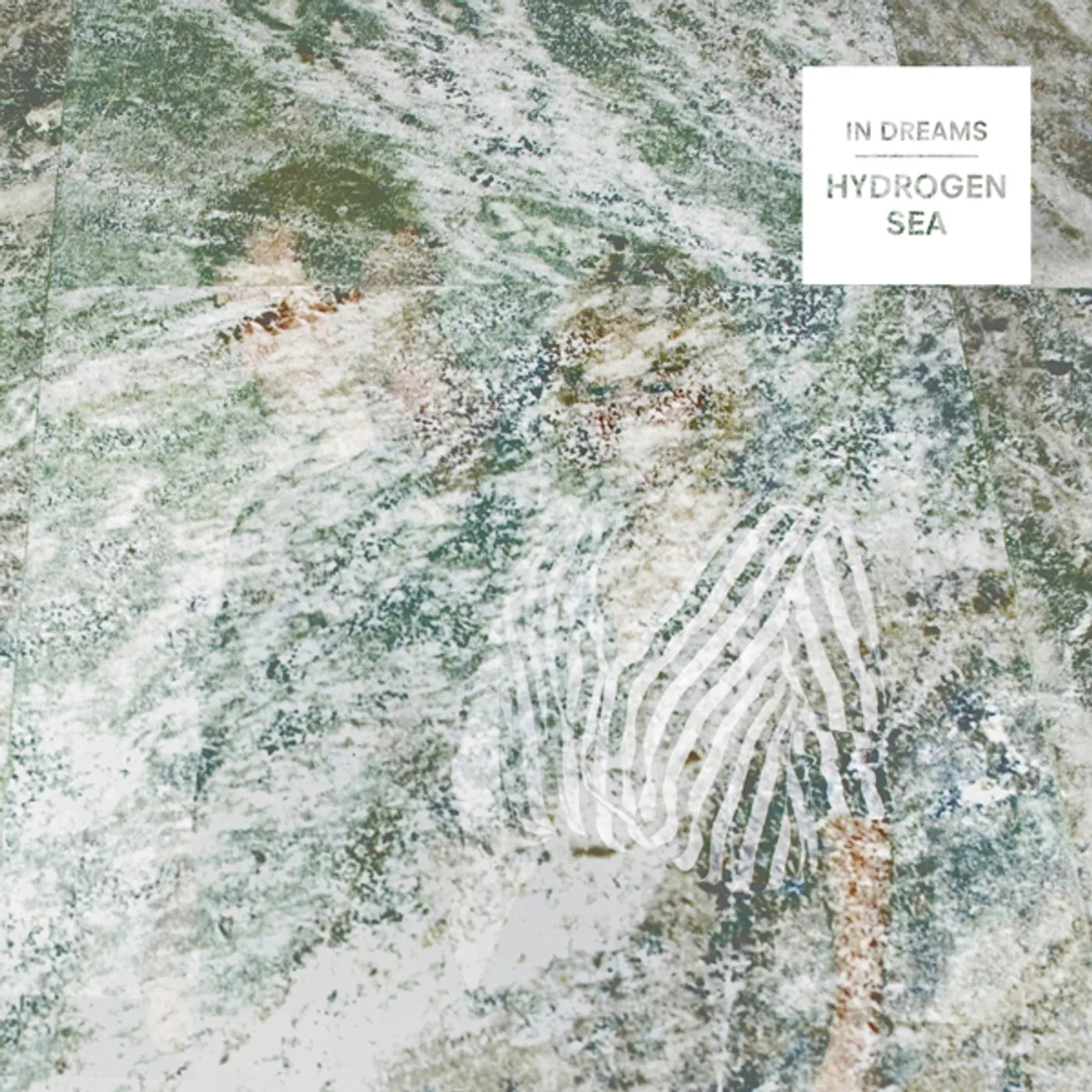 Hydrogen Sea In Dreams Vinyl Record