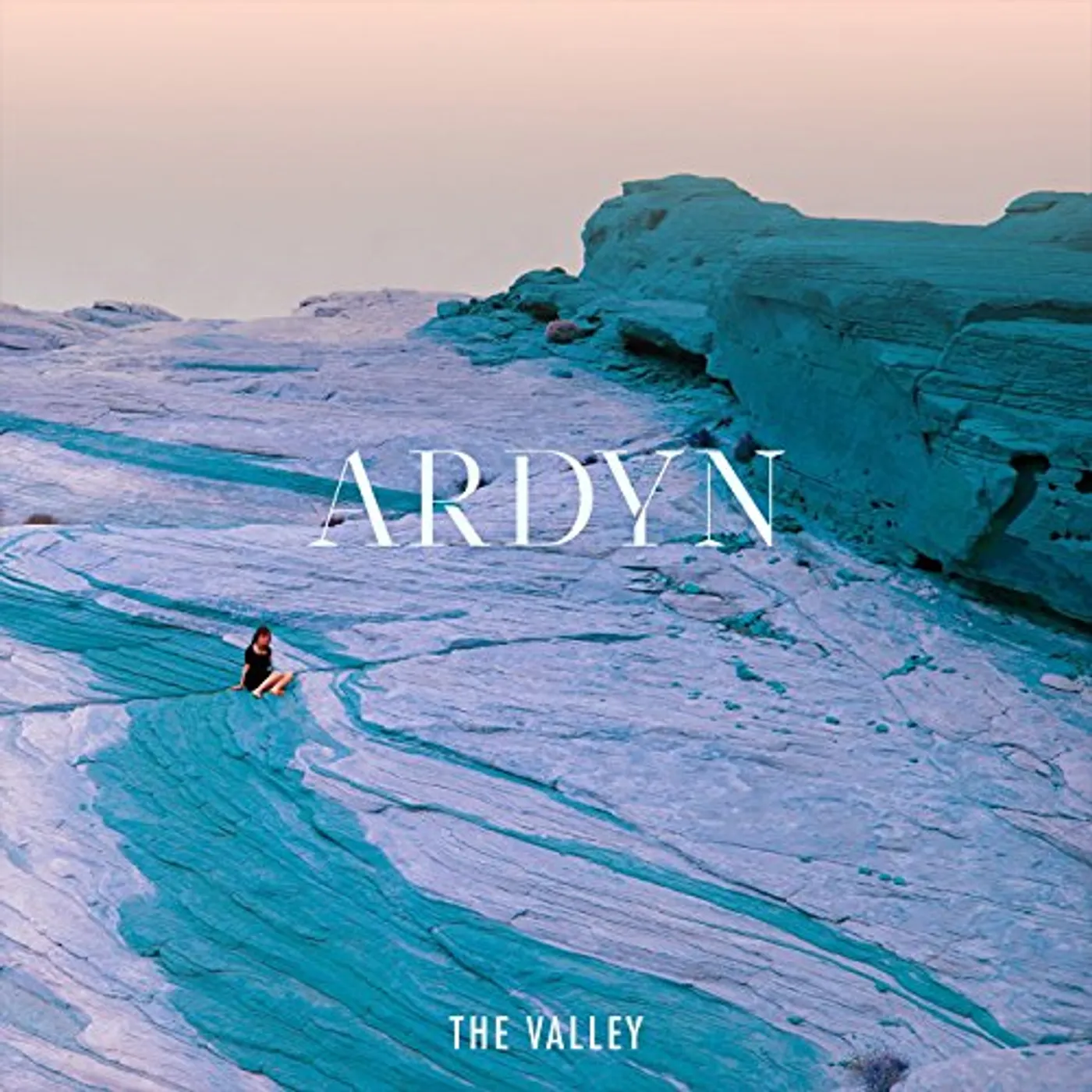Ardyn VALLEY Vinyl Record