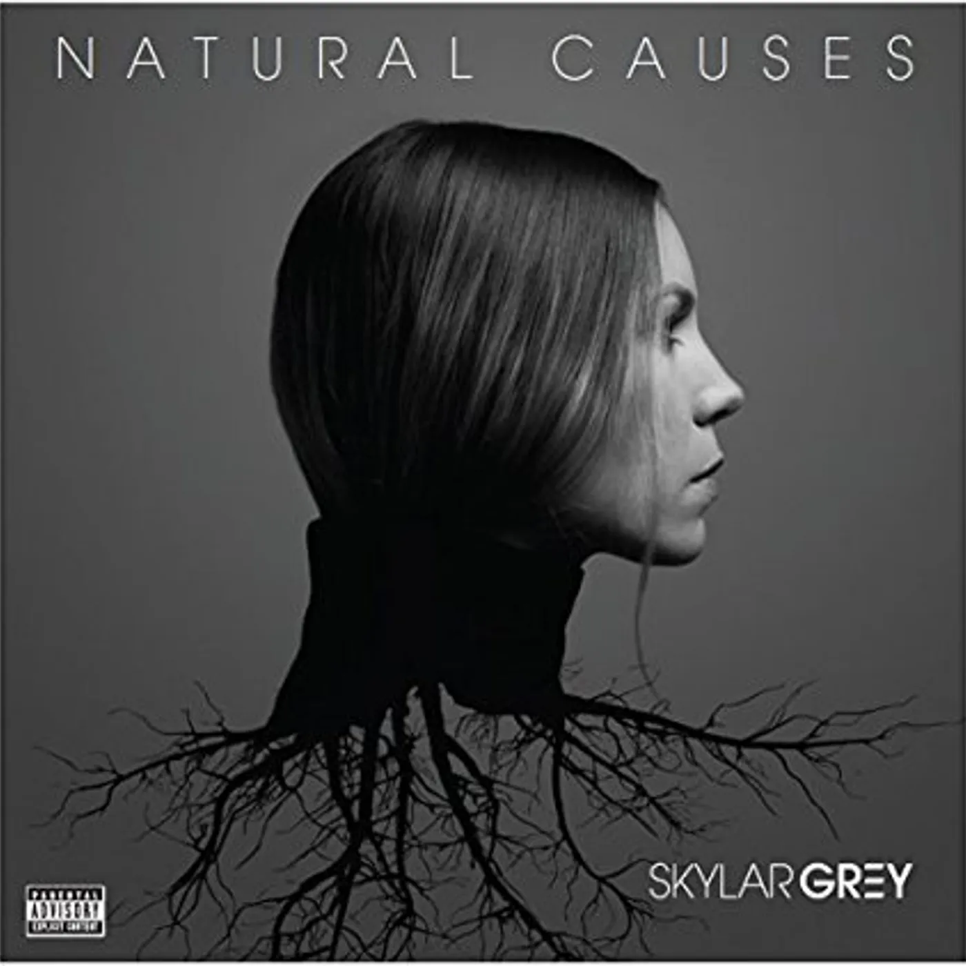 Skylar Grey NATURAL CAUSES CD