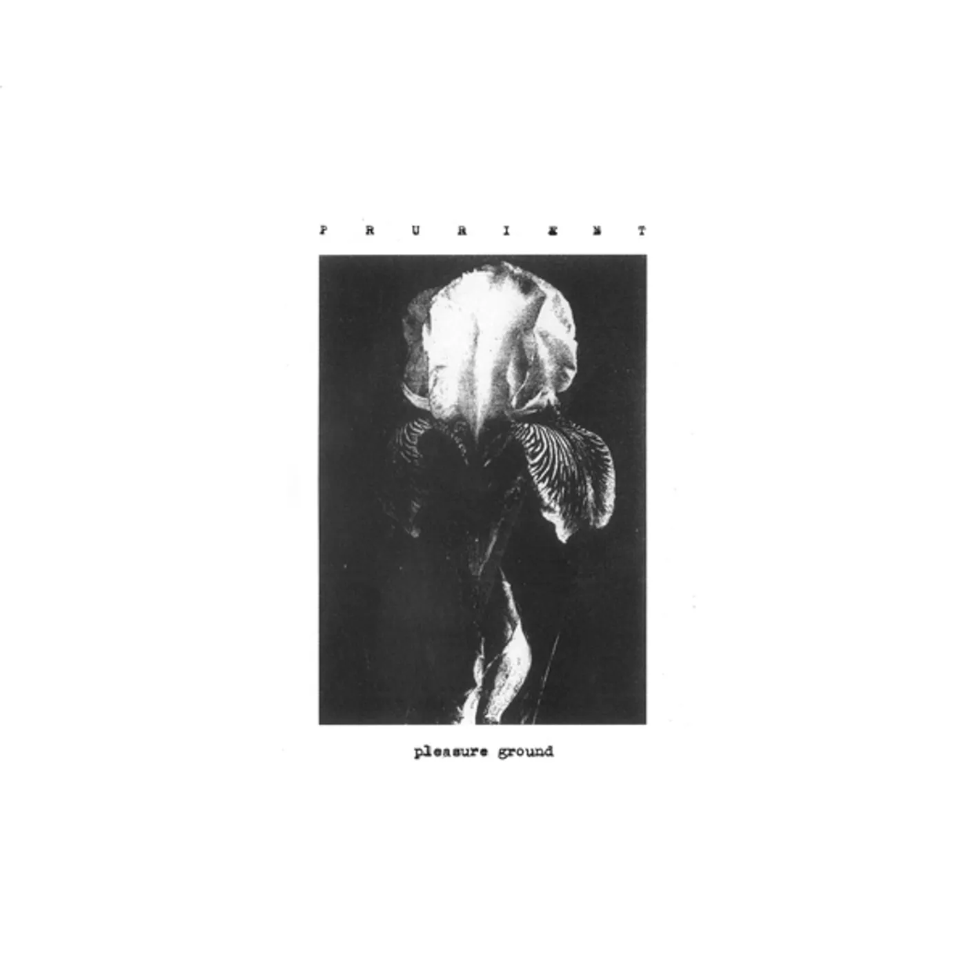 Prurient Pleasure Ground Vinyl Record