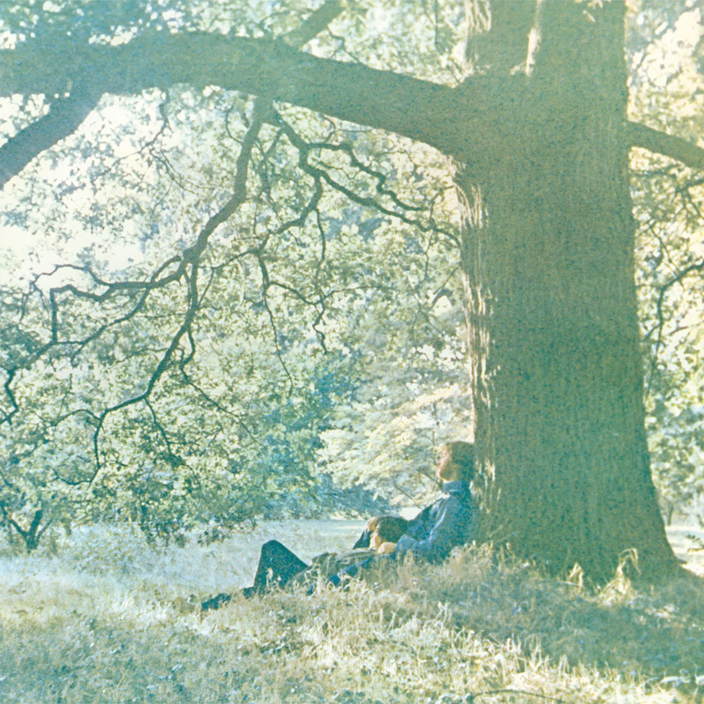 Yoko Ono Vinyl Record
