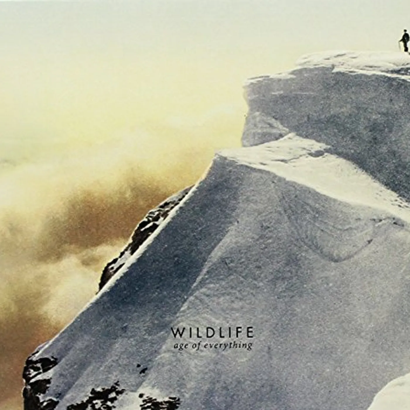Wildlife AGE OF EVERYTHING CD
