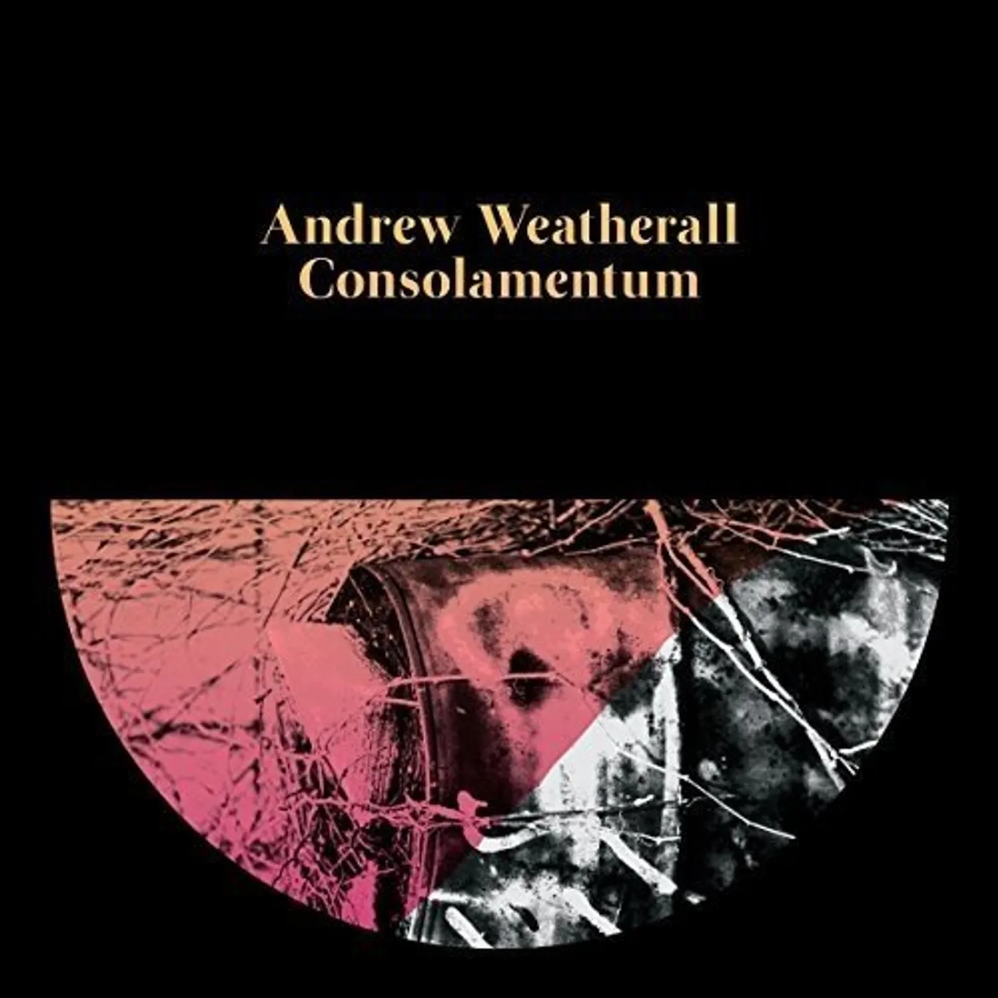 Andrew Weatherall CONSOLAMENTUM CD