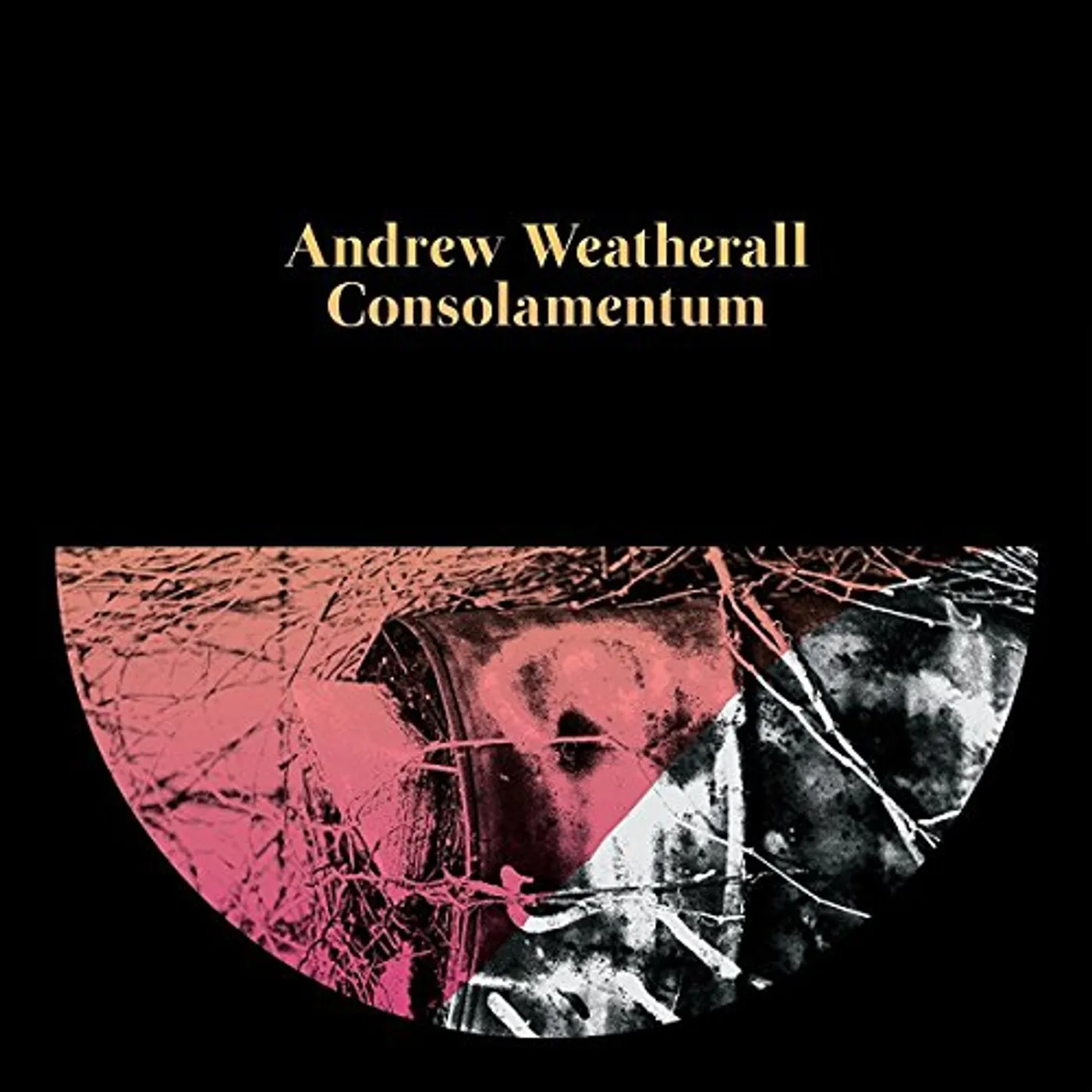 Andrew Weatherall Consolamentum Vinyl Record