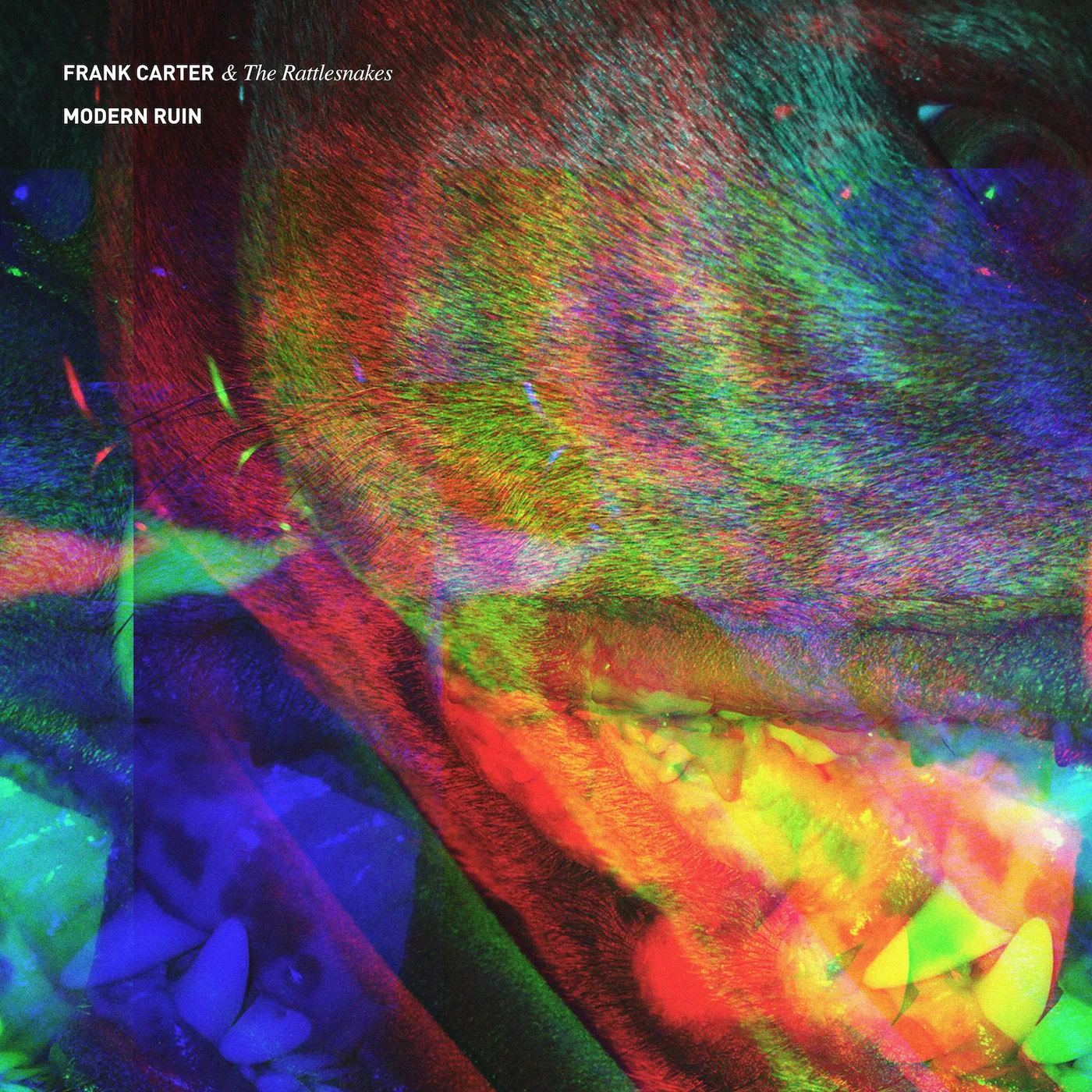 Frank Carter & The Rattlesnakes  MODERN RUIN CD