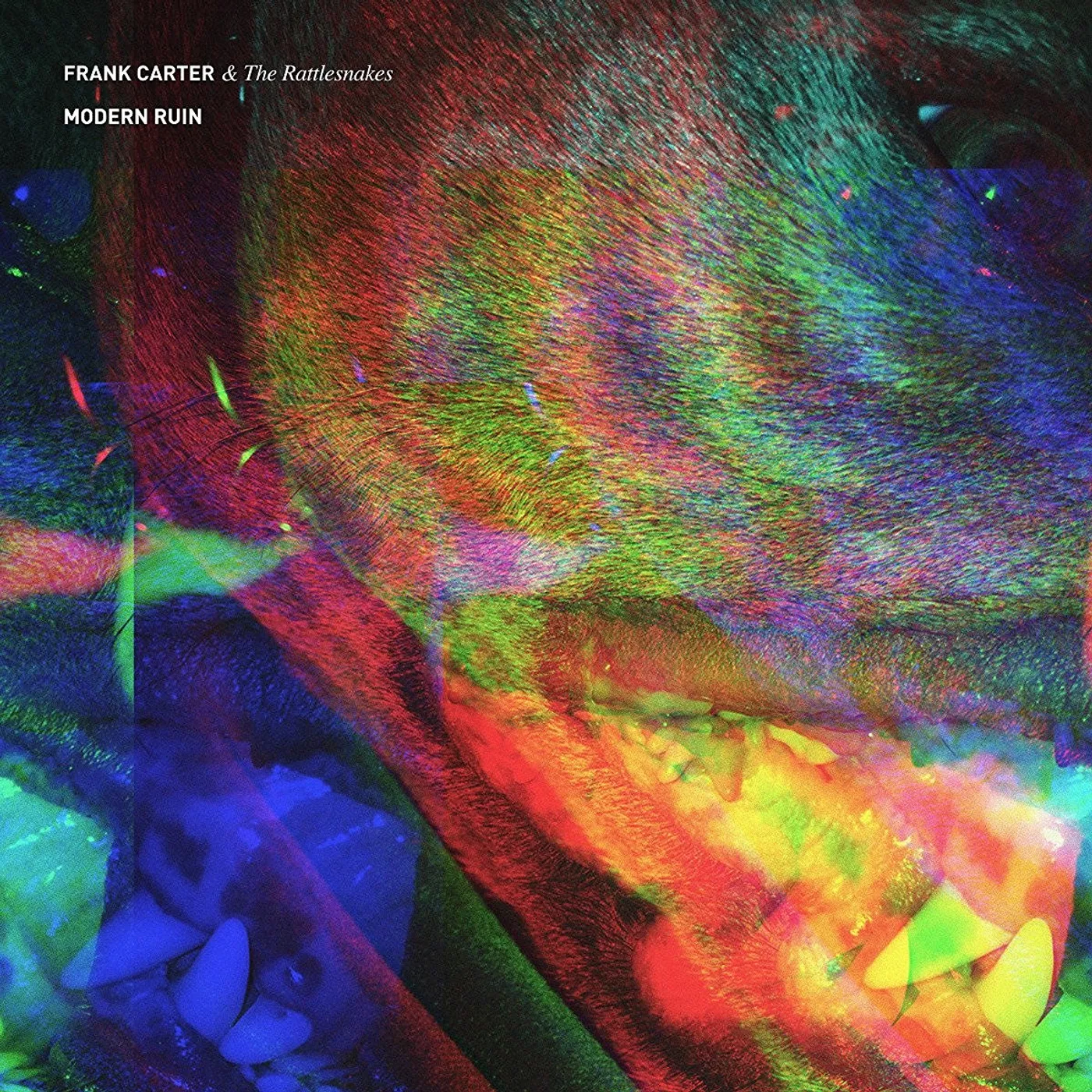 Frank Carter & The Rattlesnakes  Modern Ruin Vinyl Record