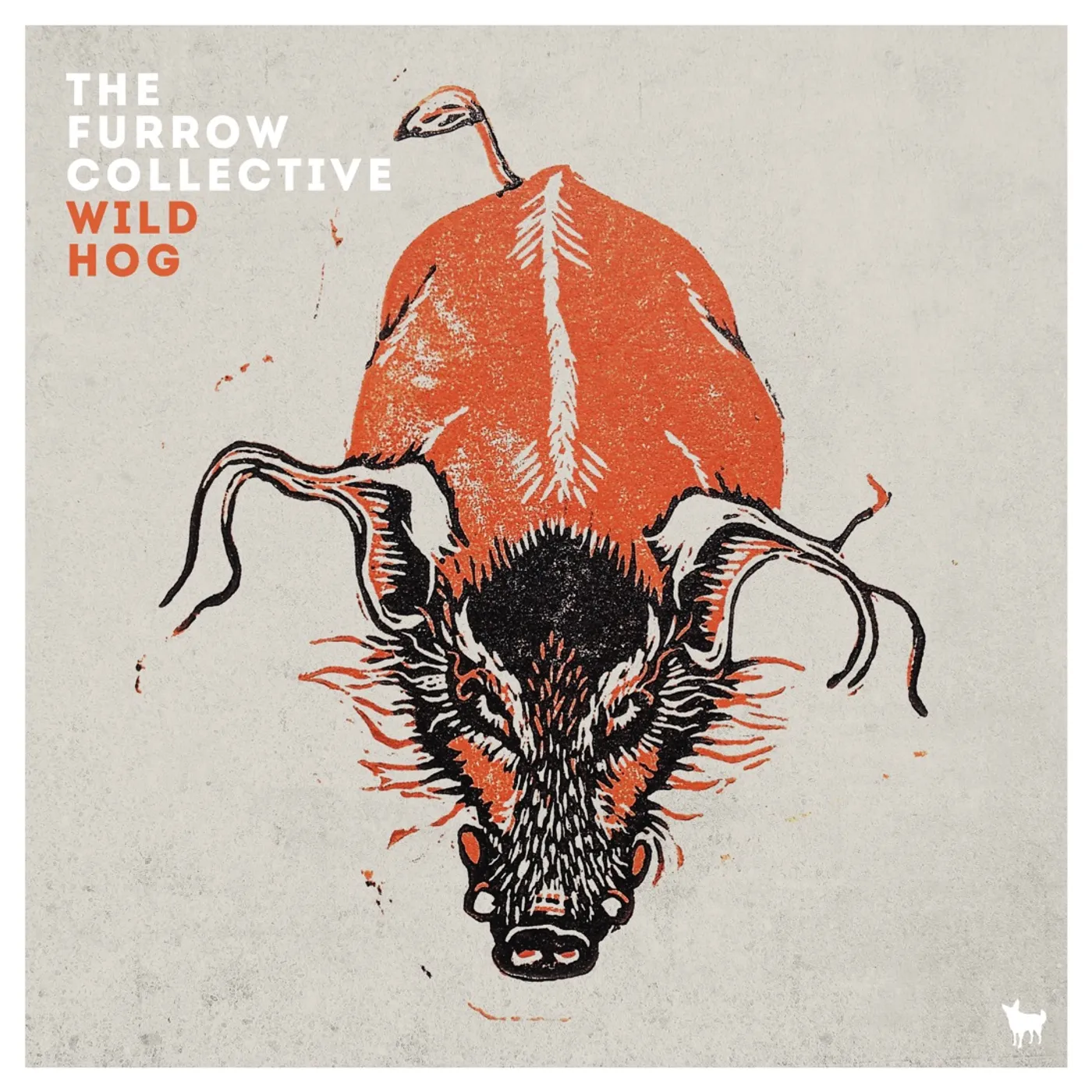 The Furrow Collective WILD HOG CD
