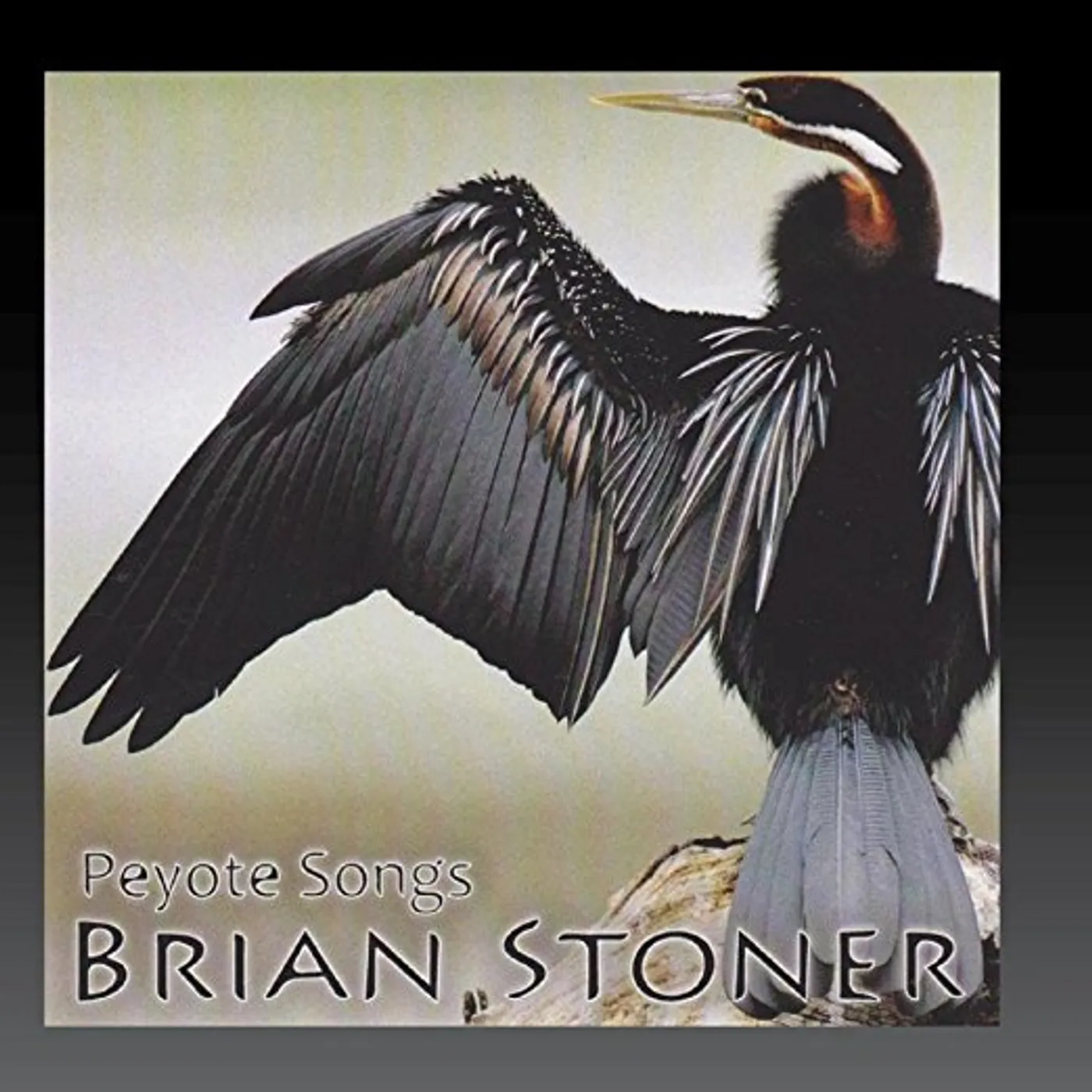 Brian Stoner PEYOTE SONGS CD