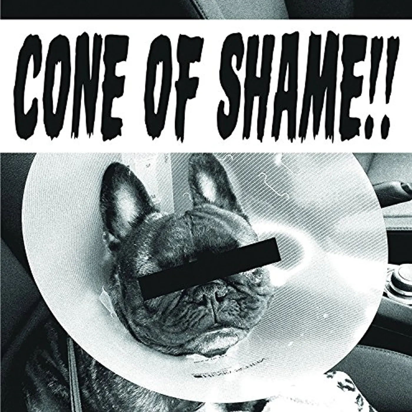 Faith No More CONE OF SHAME Vinyl Record