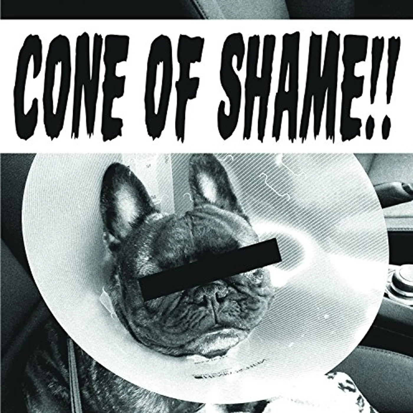 Faith No More CONE OF SHAME Vinyl Record