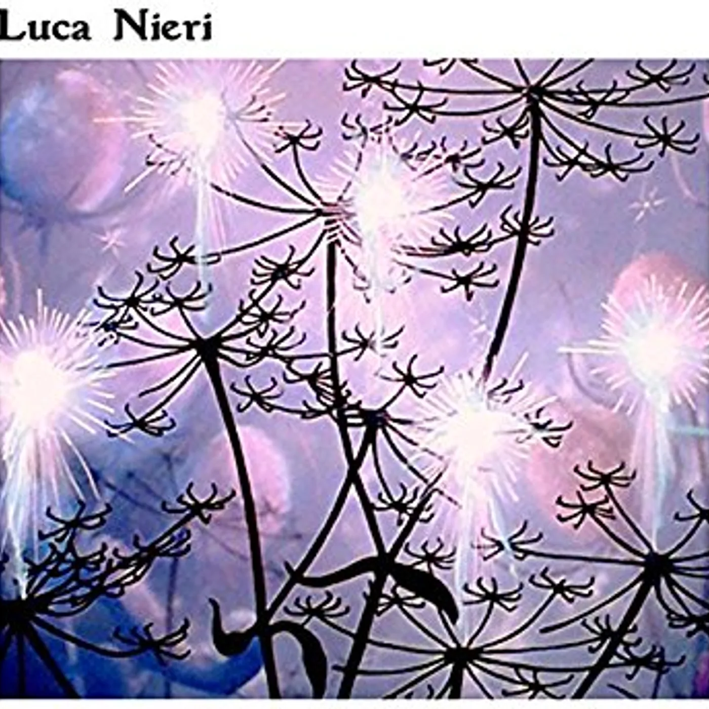 LUCA NIERI CD