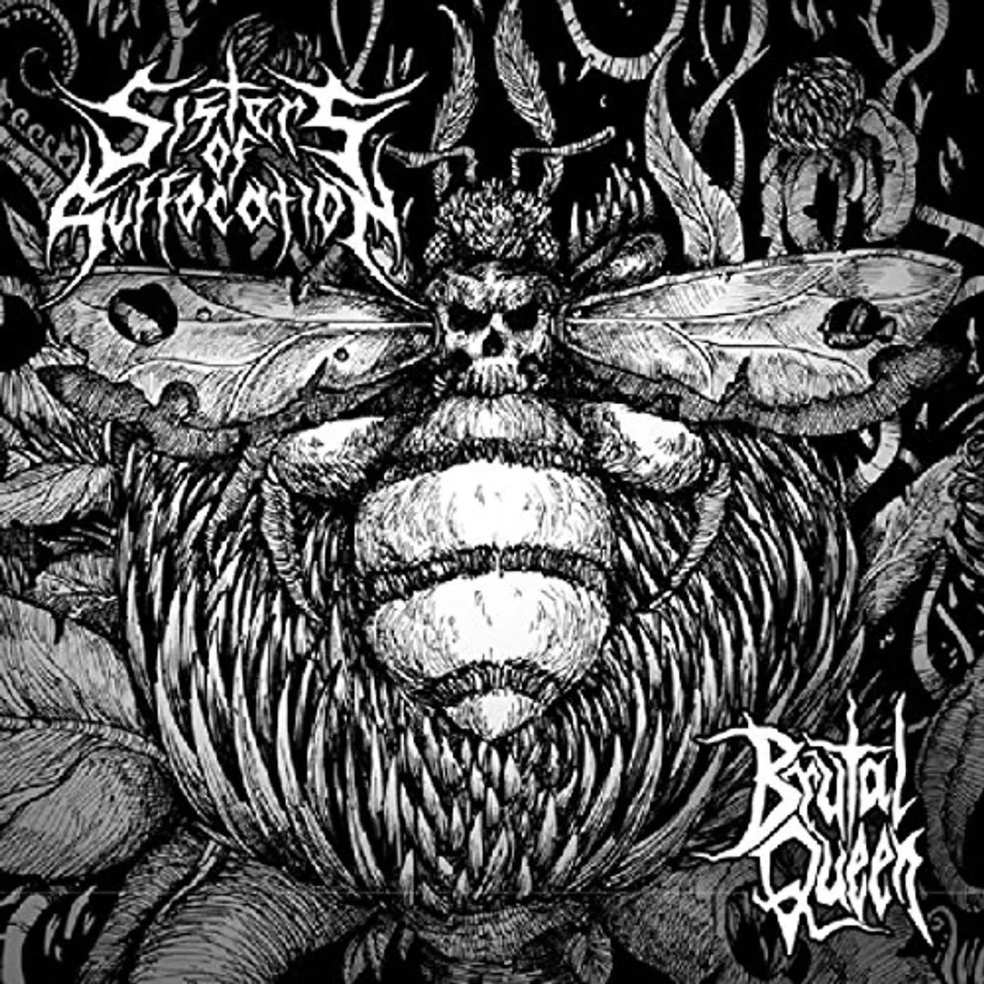 Sisters of Suffocation Brutal Queen Vinyl Record