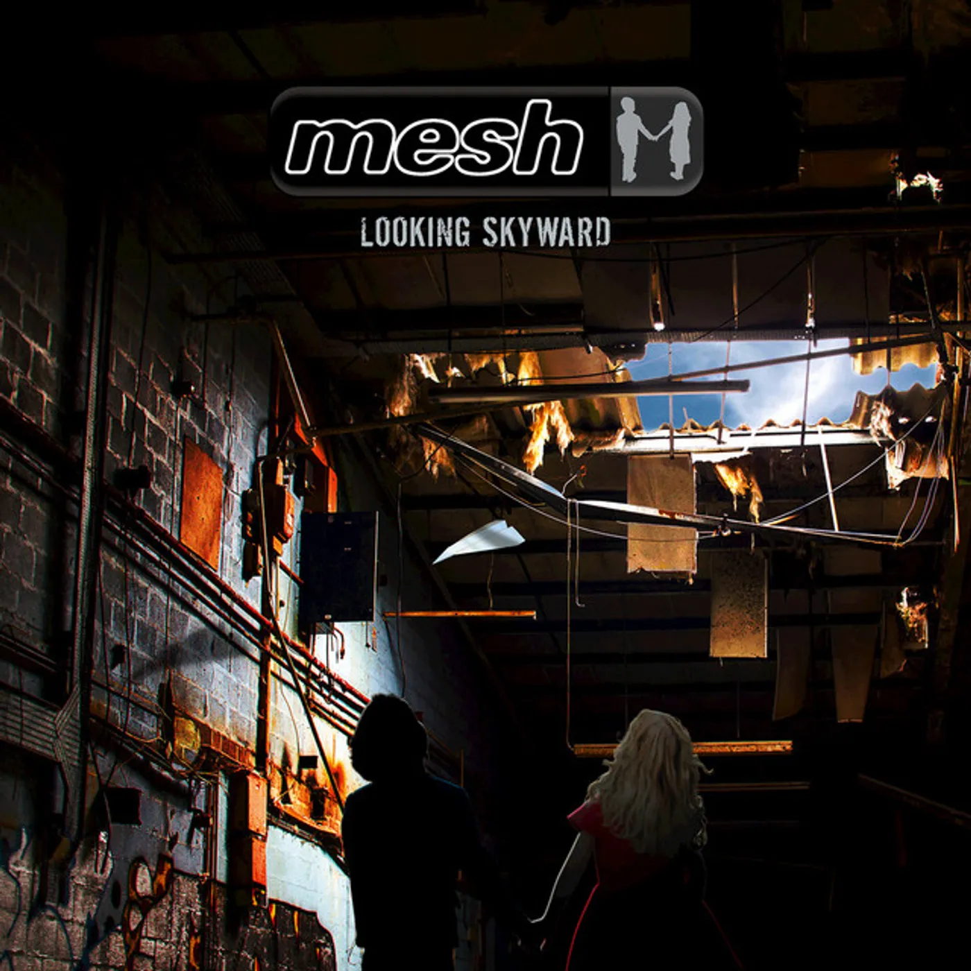Mesh LOOKING SKYWARD CD