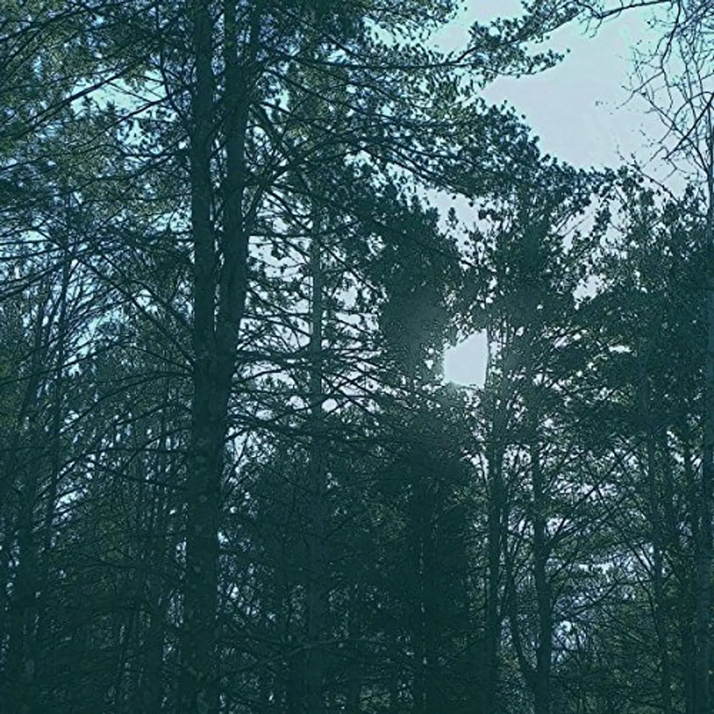 Ashbringer Vacant Vinyl Record