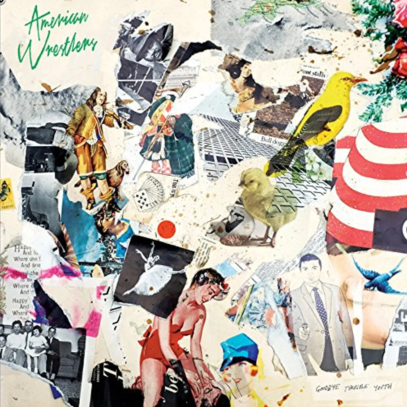 American Wrestlers GOODBYE TERRIBLE YOUTH CD