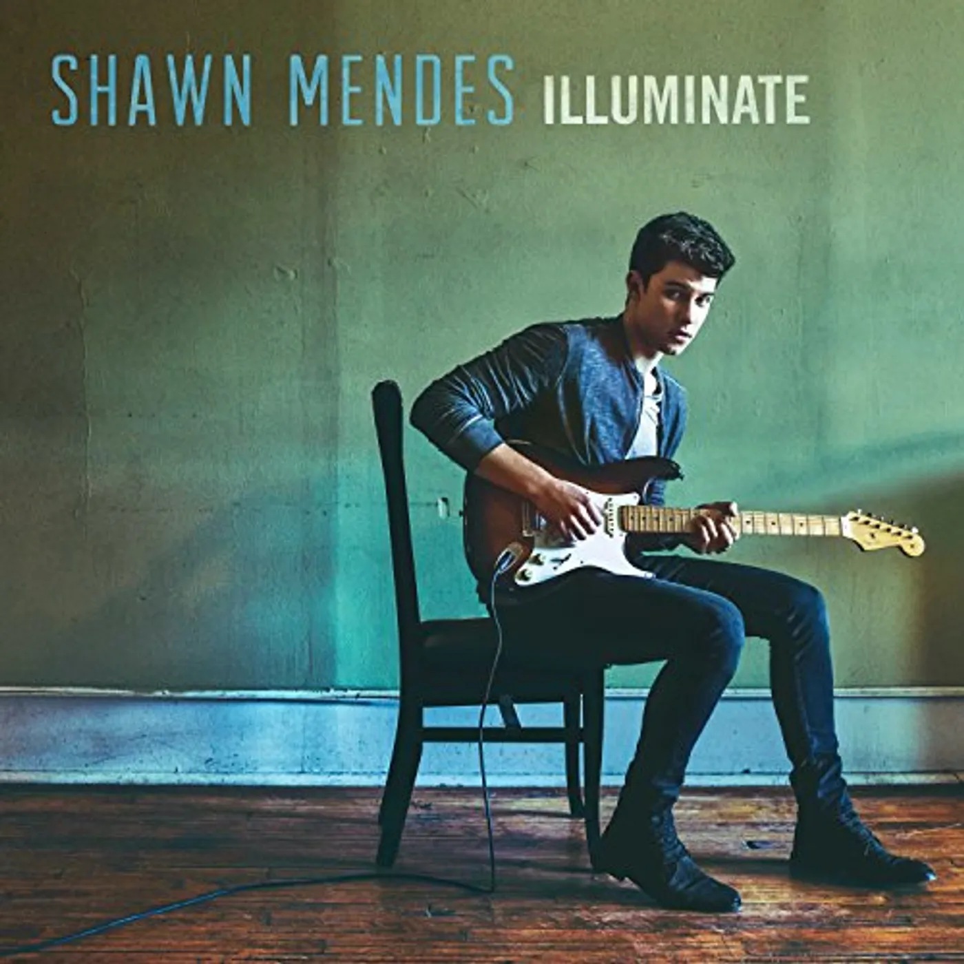 Shawn Mendes Illuminate Vinyl Record