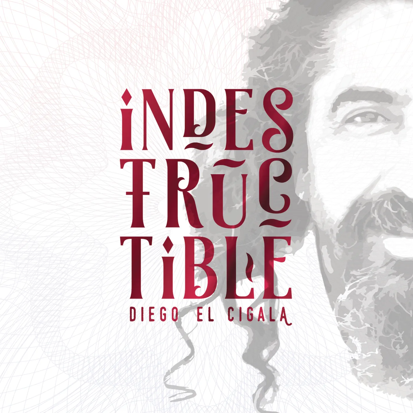 Diego El Cigala INDESTRUCTIBLE CD
