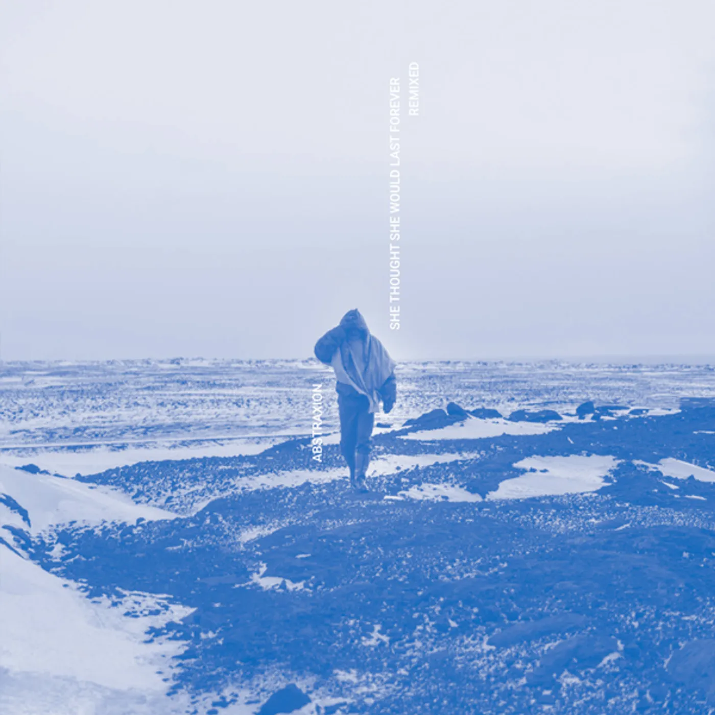 Abstraxion She Thought She Would Last Forever Remixed Vinyl Record
