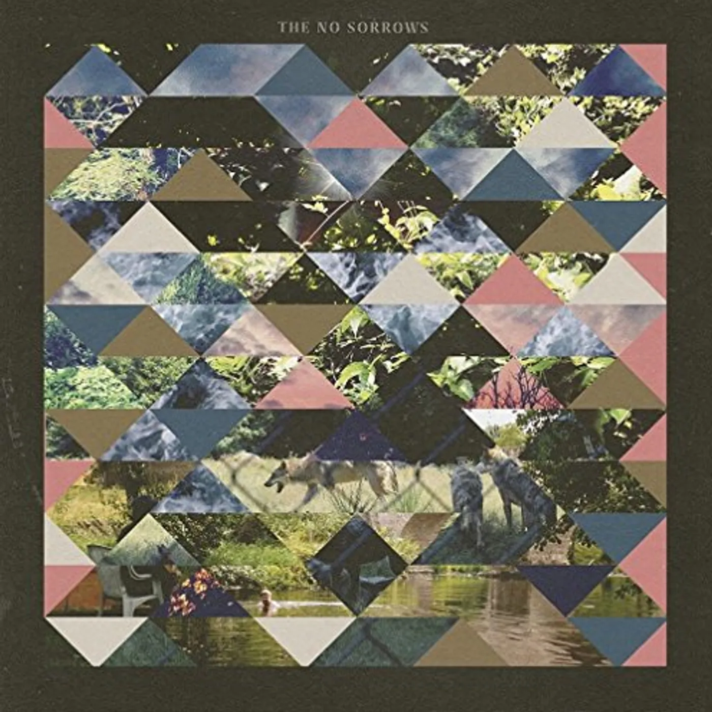 The No Sorrows Vinyl Record