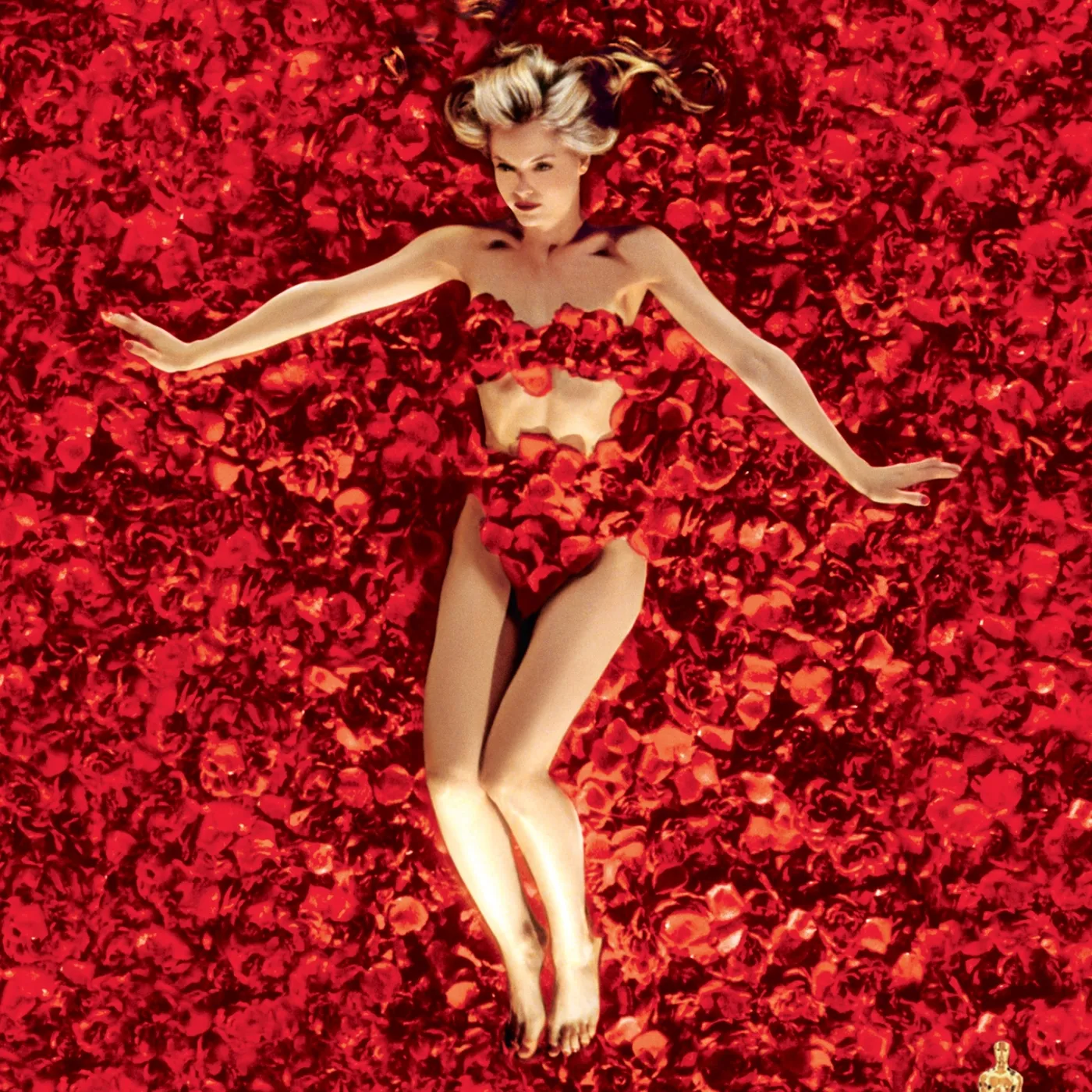 AMERICAN BEAUTY DVD