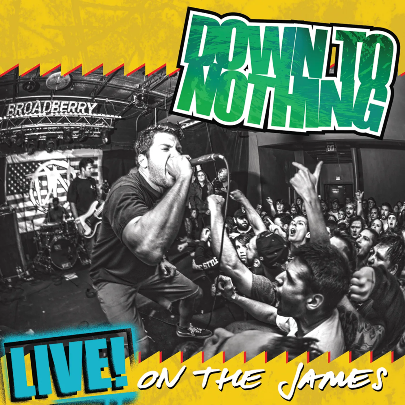 Down To Nothing LIVE ON THE JAMES Vinyl Record