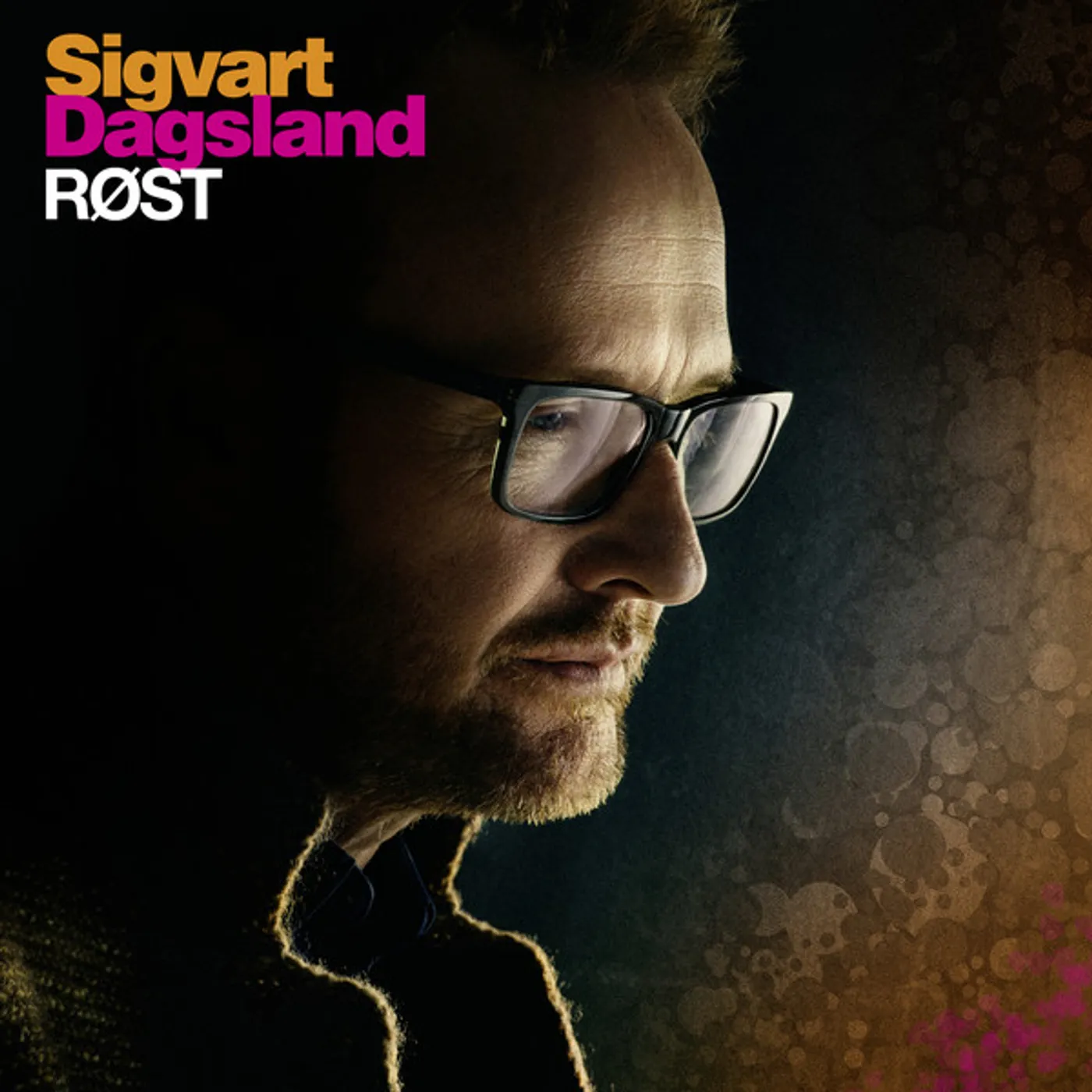 Sigvart Dagsland ROST Vinyl Record